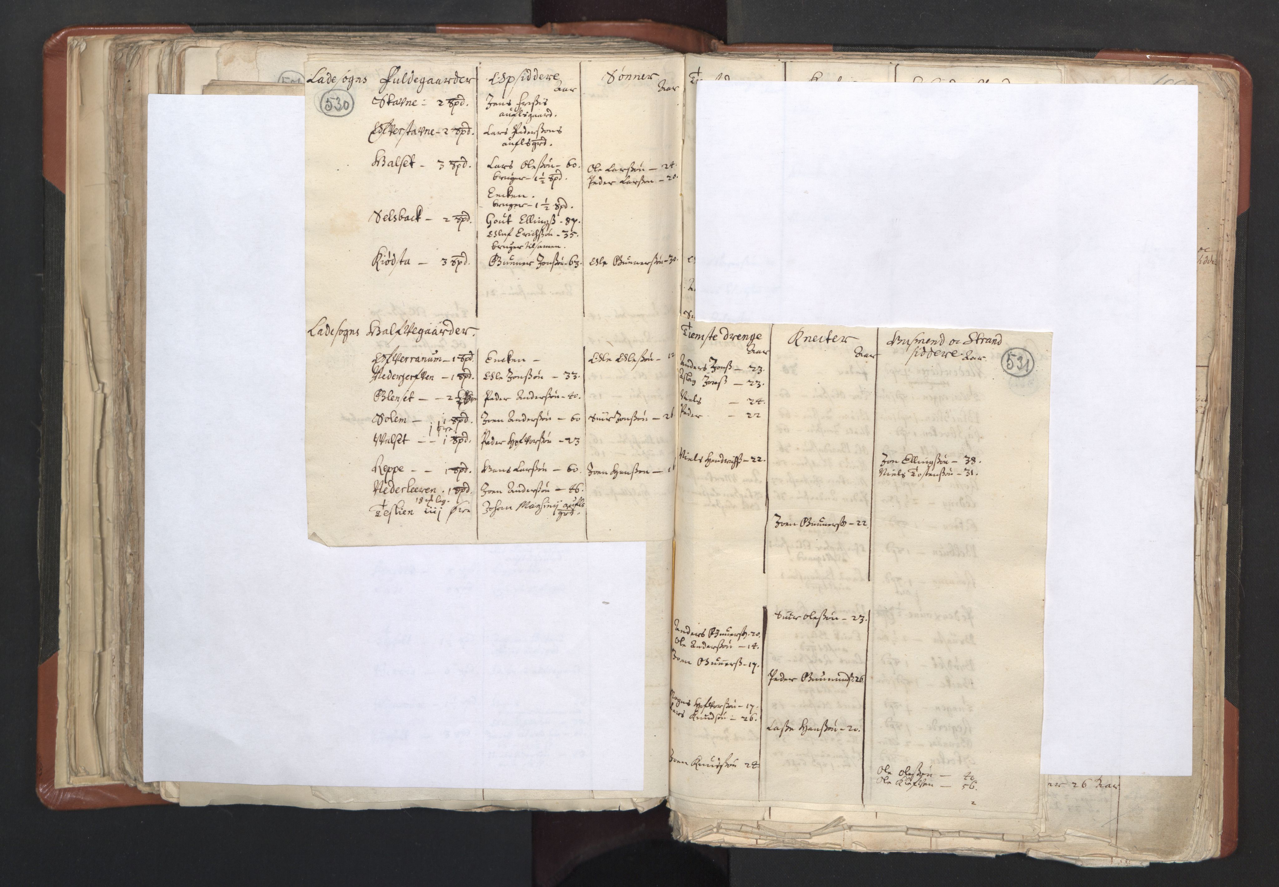 RA, Vicar's Census 1664-1666, no. 31: Dalane deanery, 1664-1666, p. 530-531