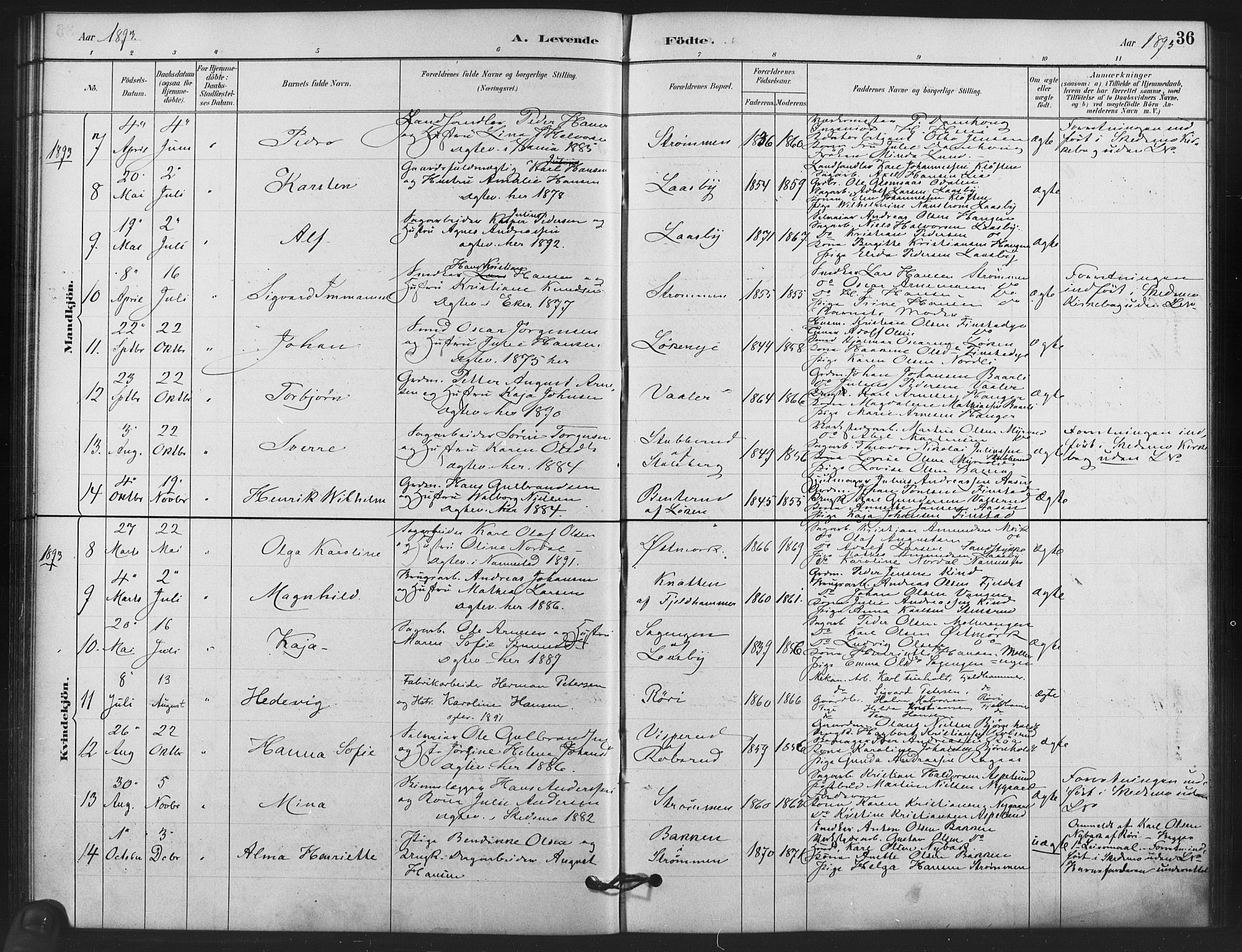 Skedsmo prestekontor Kirkebøker, AV/SAO-A-10033a/F/Fb/L0001: Parish register (official) no. II 1, 1883-1901, p. 36