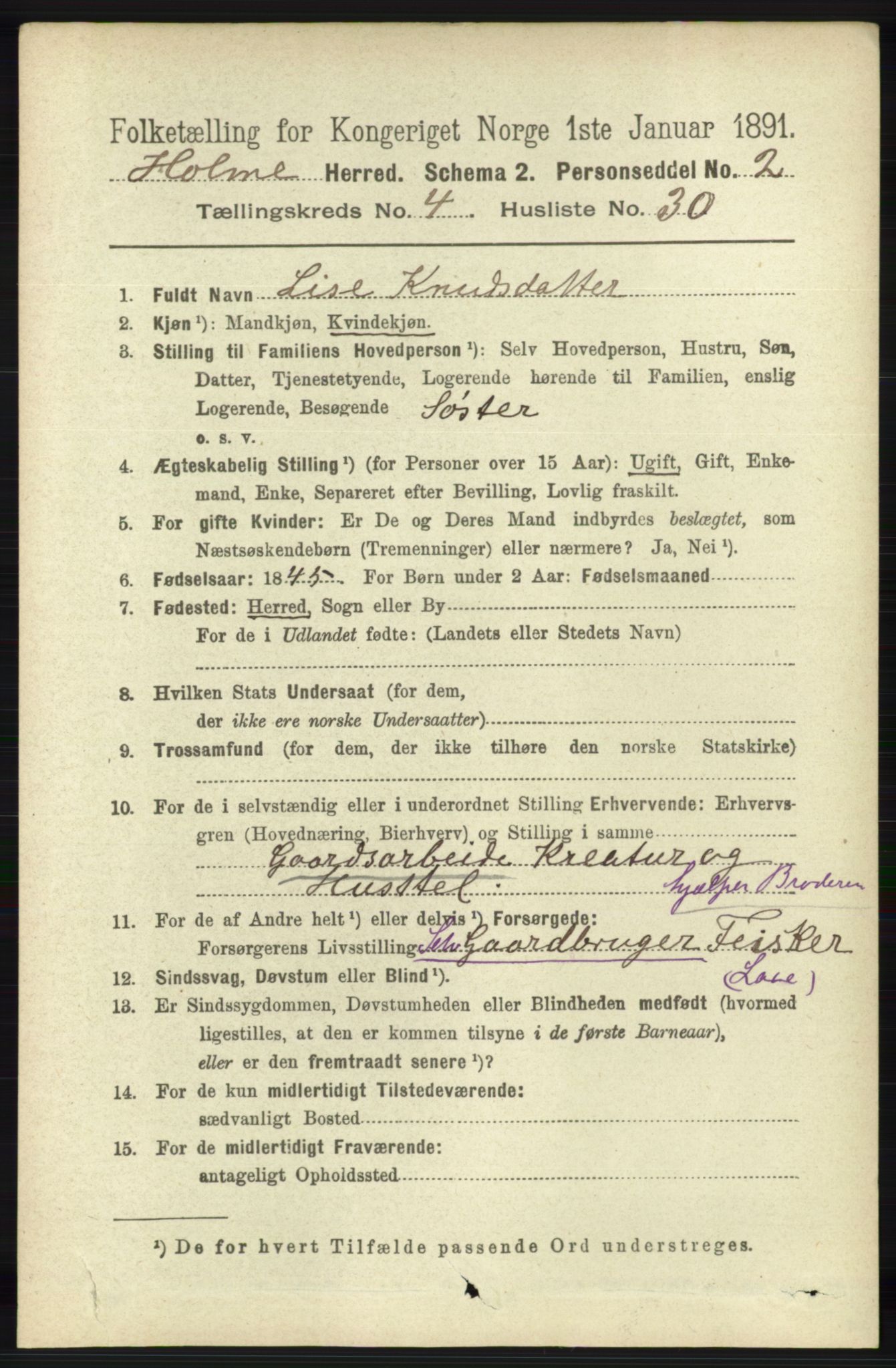 RA, 1891 census for 1020 Holum, 1891, p. 1175