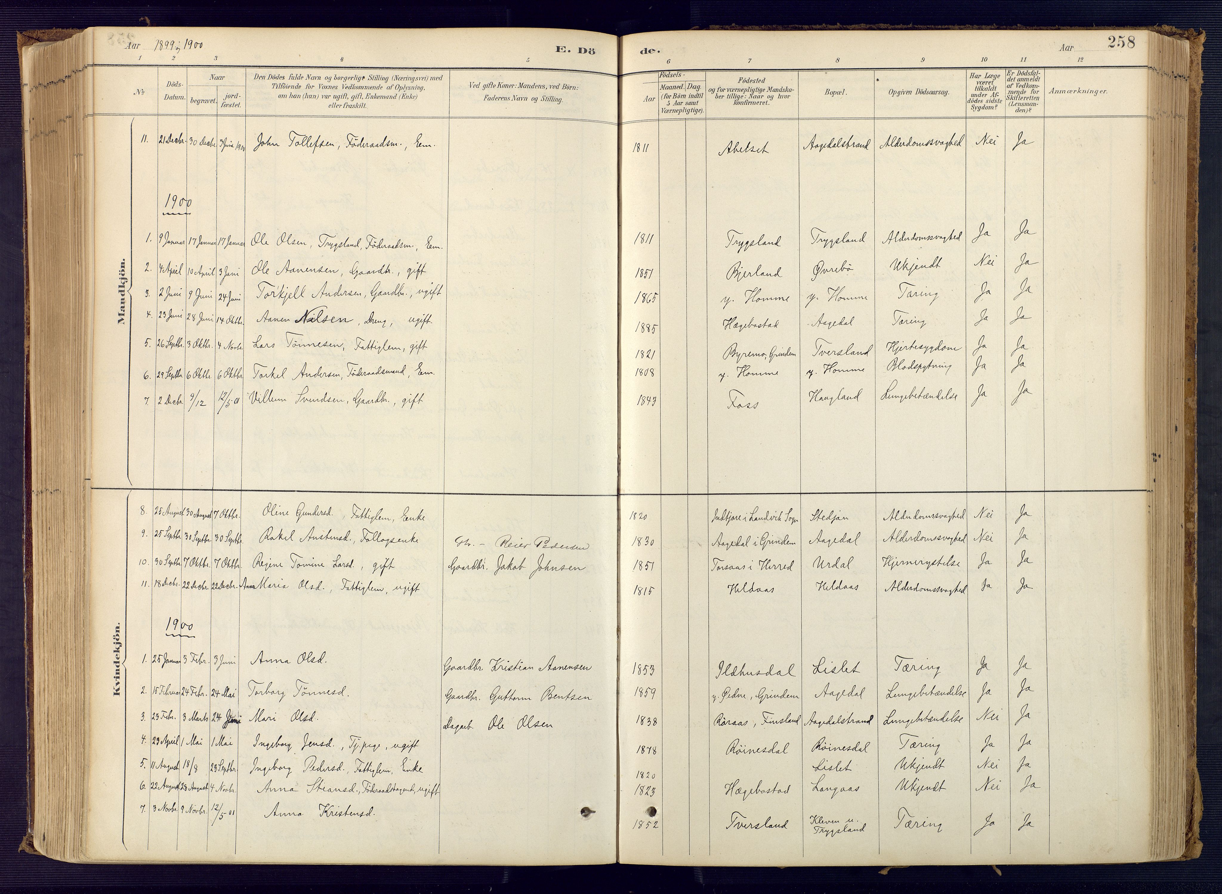 Bjelland sokneprestkontor, SAK/1111-0005/F/Fa/Faa/L0004: Parish register (official) no. A 4, 1887-1923, p. 258