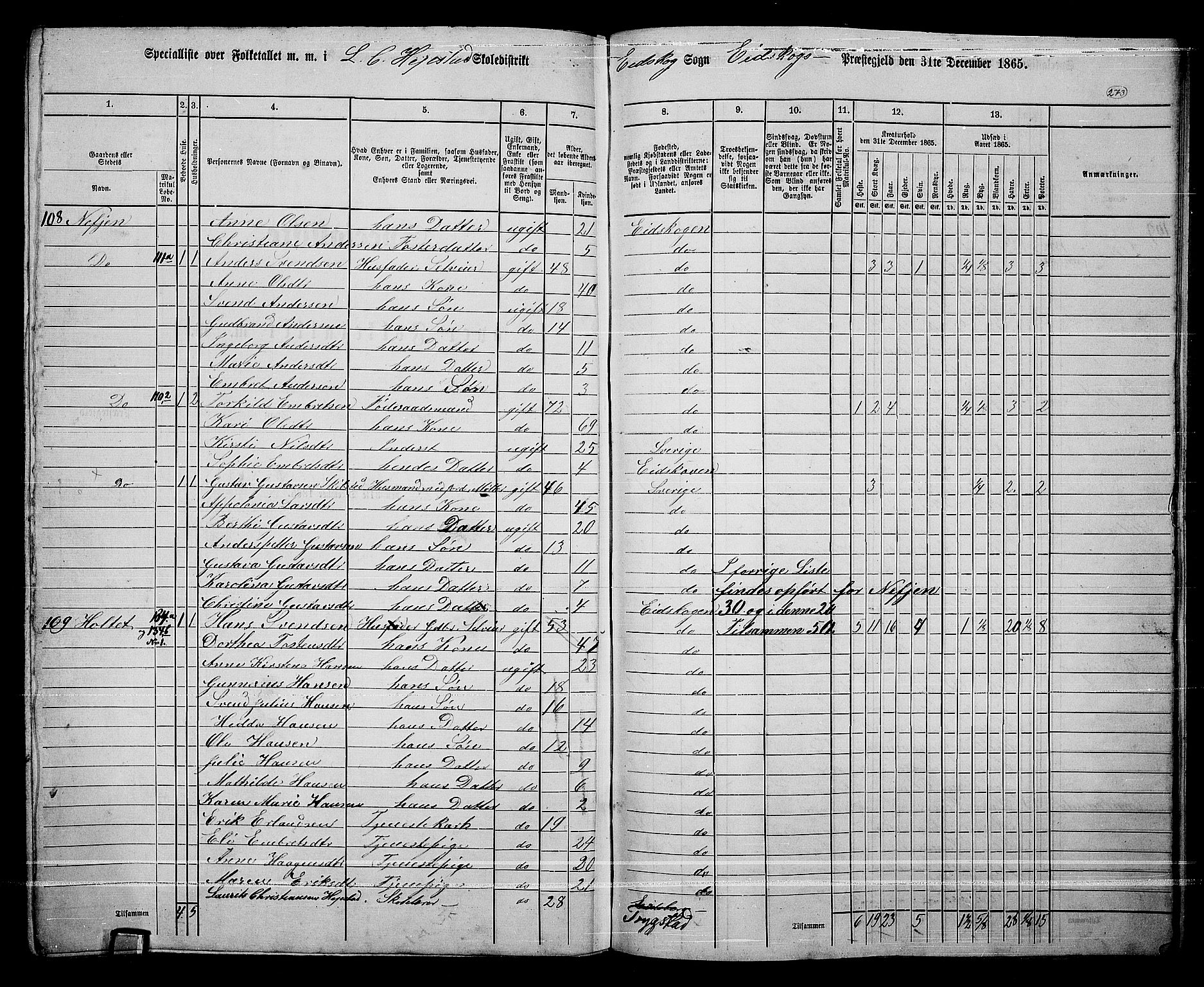 RA, 1865 census for Eidskog, 1865, p. 249