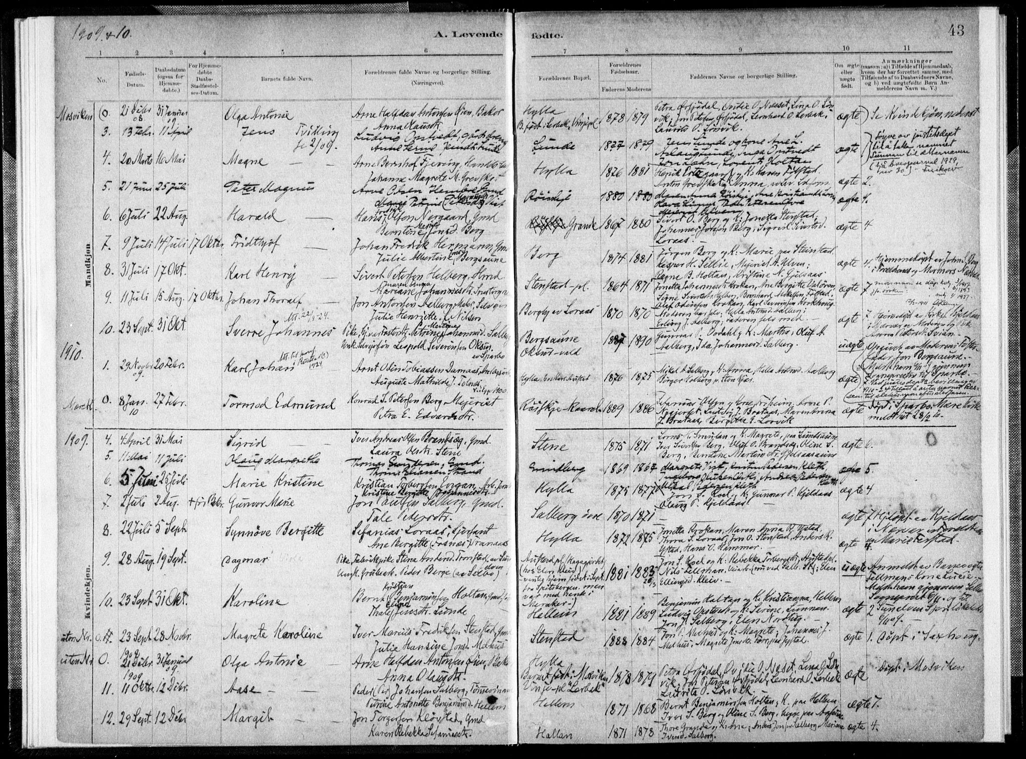 Ministerialprotokoller, klokkerbøker og fødselsregistre - Nord-Trøndelag, SAT/A-1458/731/L0309: Parish register (official) no. 731A01, 1879-1918, p. 43