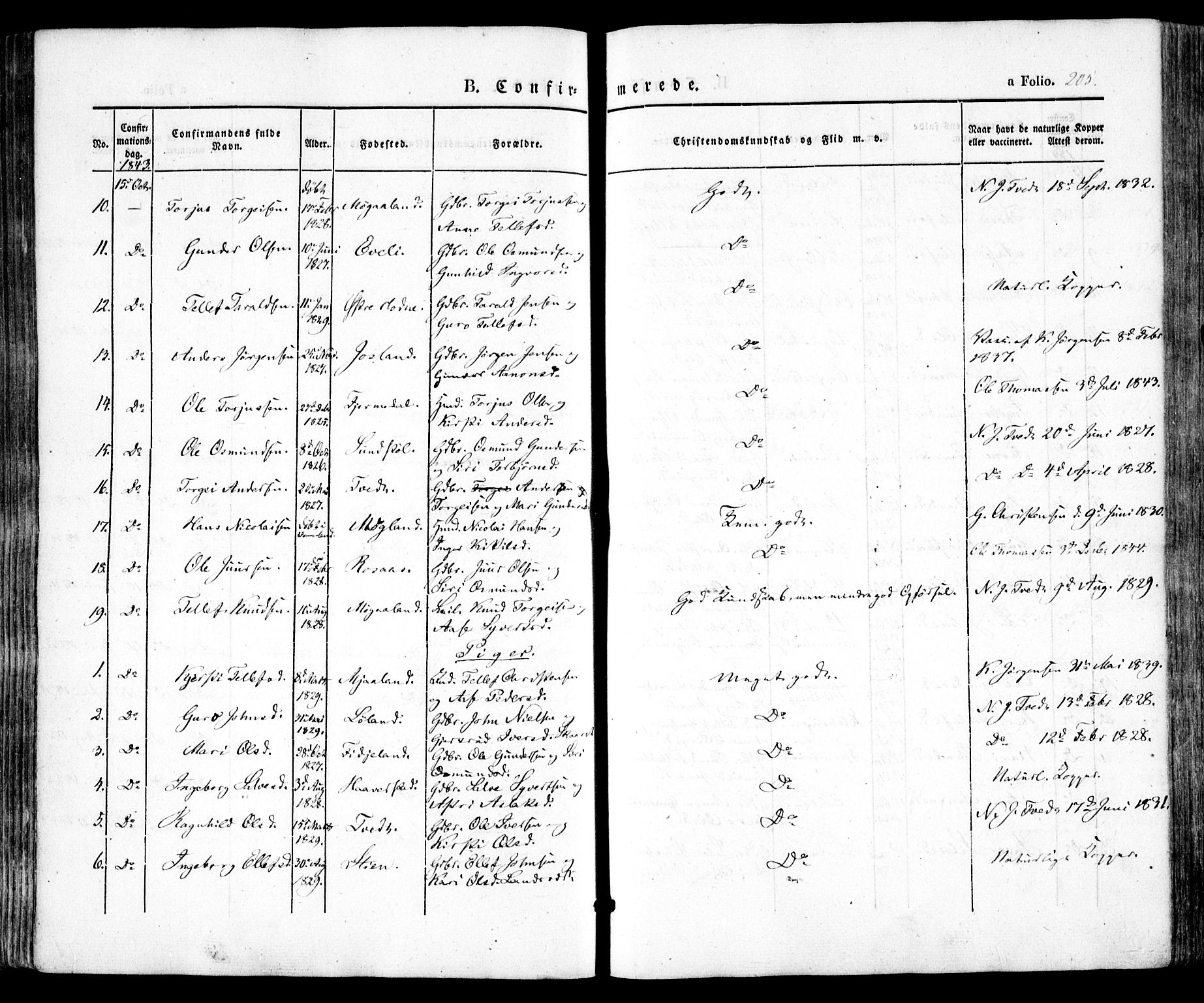 Evje sokneprestkontor, AV/SAK-1111-0008/F/Fa/Faa/L0005: Parish register (official) no. A 5, 1843-1865, p. 205