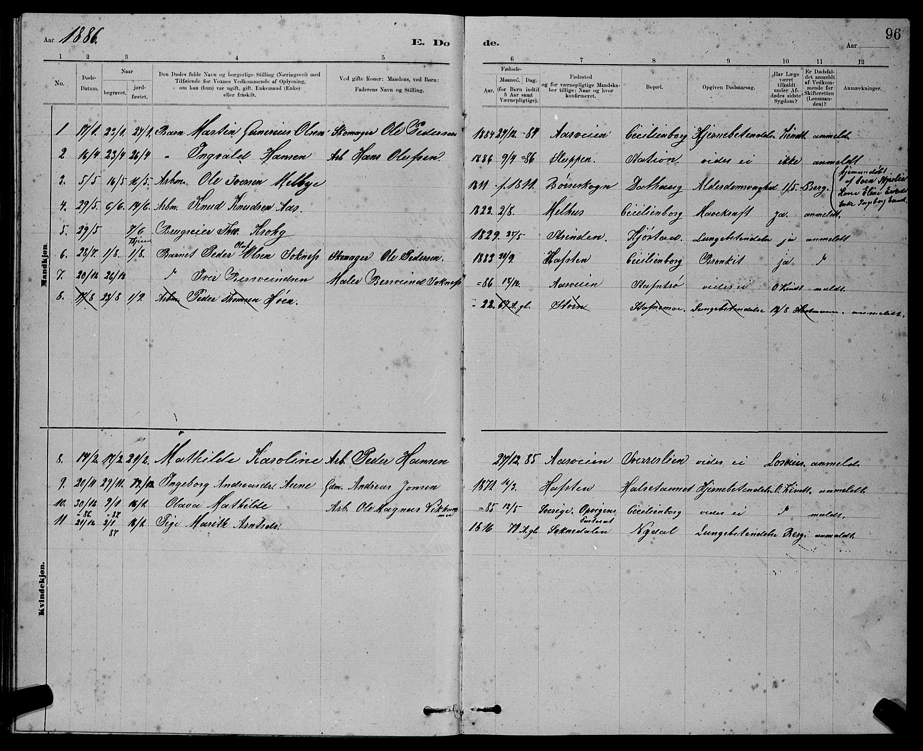 Ministerialprotokoller, klokkerbøker og fødselsregistre - Sør-Trøndelag, SAT/A-1456/611/L0354: Parish register (copy) no. 611C02, 1881-1896, p. 96
