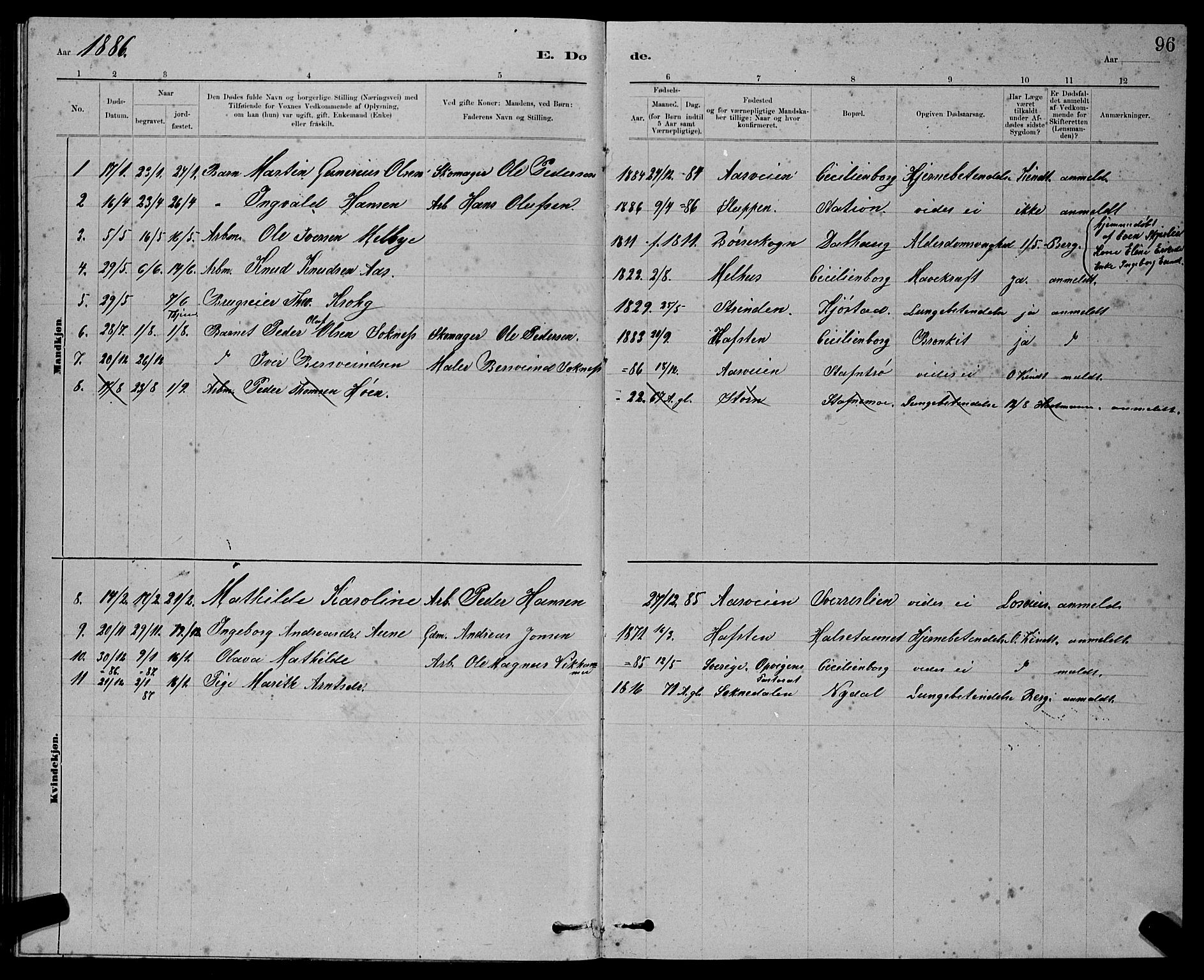 Ministerialprotokoller, klokkerbøker og fødselsregistre - Sør-Trøndelag, AV/SAT-A-1456/611/L0354: Parish register (copy) no. 611C02, 1881-1896, p. 96