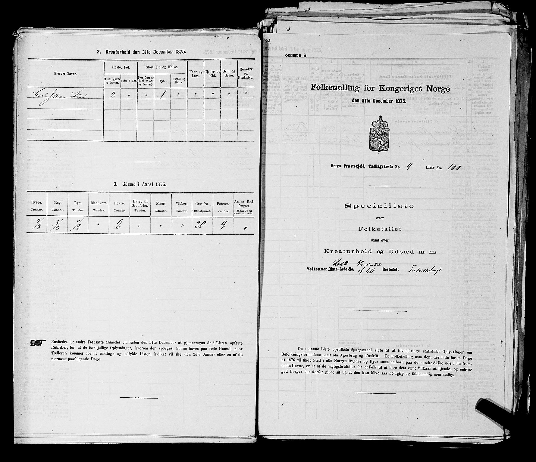 RA, 1875 census for 0116P Berg, 1875, p. 516
