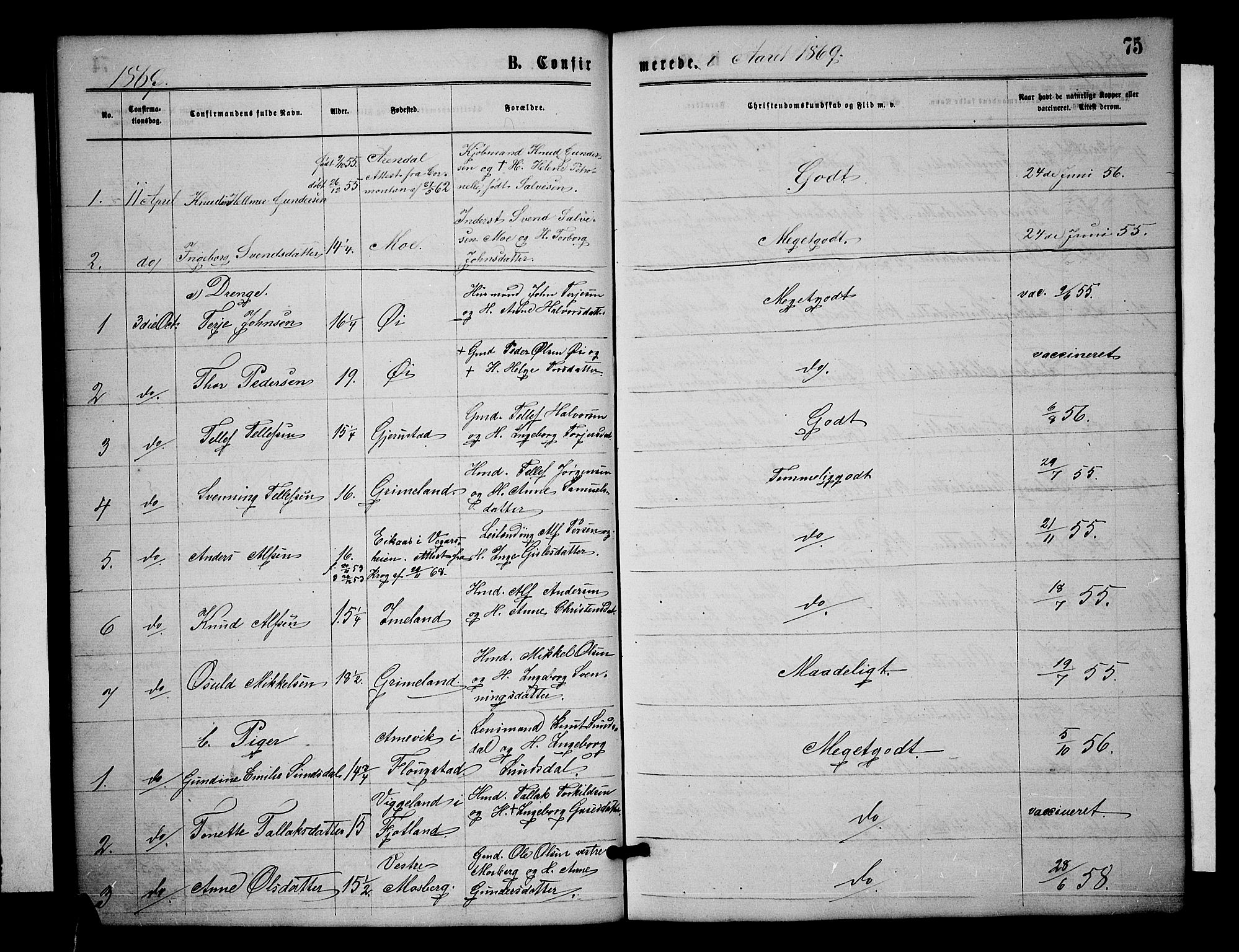 Åmli sokneprestkontor, SAK/1111-0050/F/Fb/Fbc/L0003: Parish register (copy) no. B 3, 1868-1888, p. 75