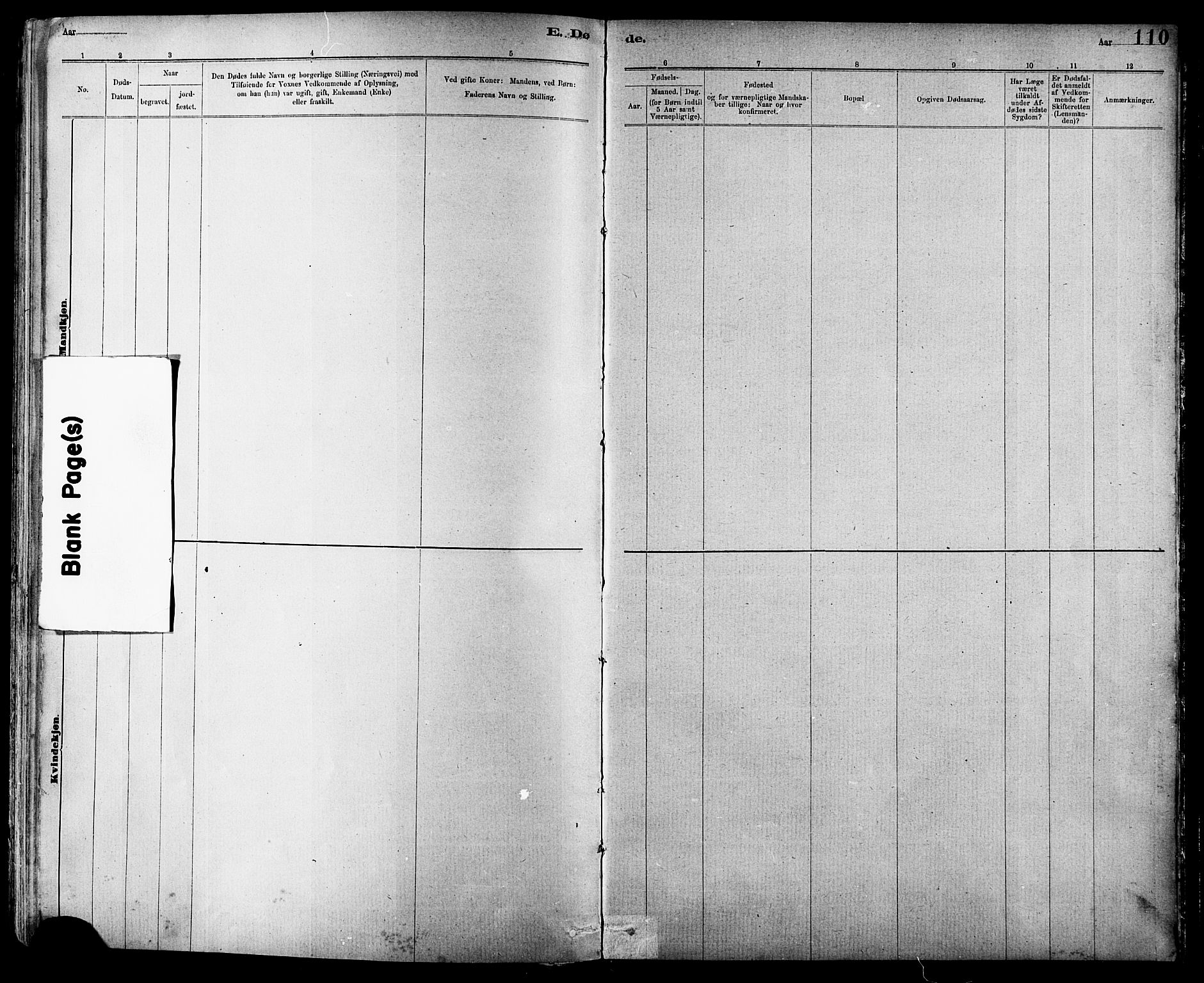 Ministerialprotokoller, klokkerbøker og fødselsregistre - Sør-Trøndelag, SAT/A-1456/639/L0573: Parish register (copy) no. 639C01, 1890-1905, p. 110