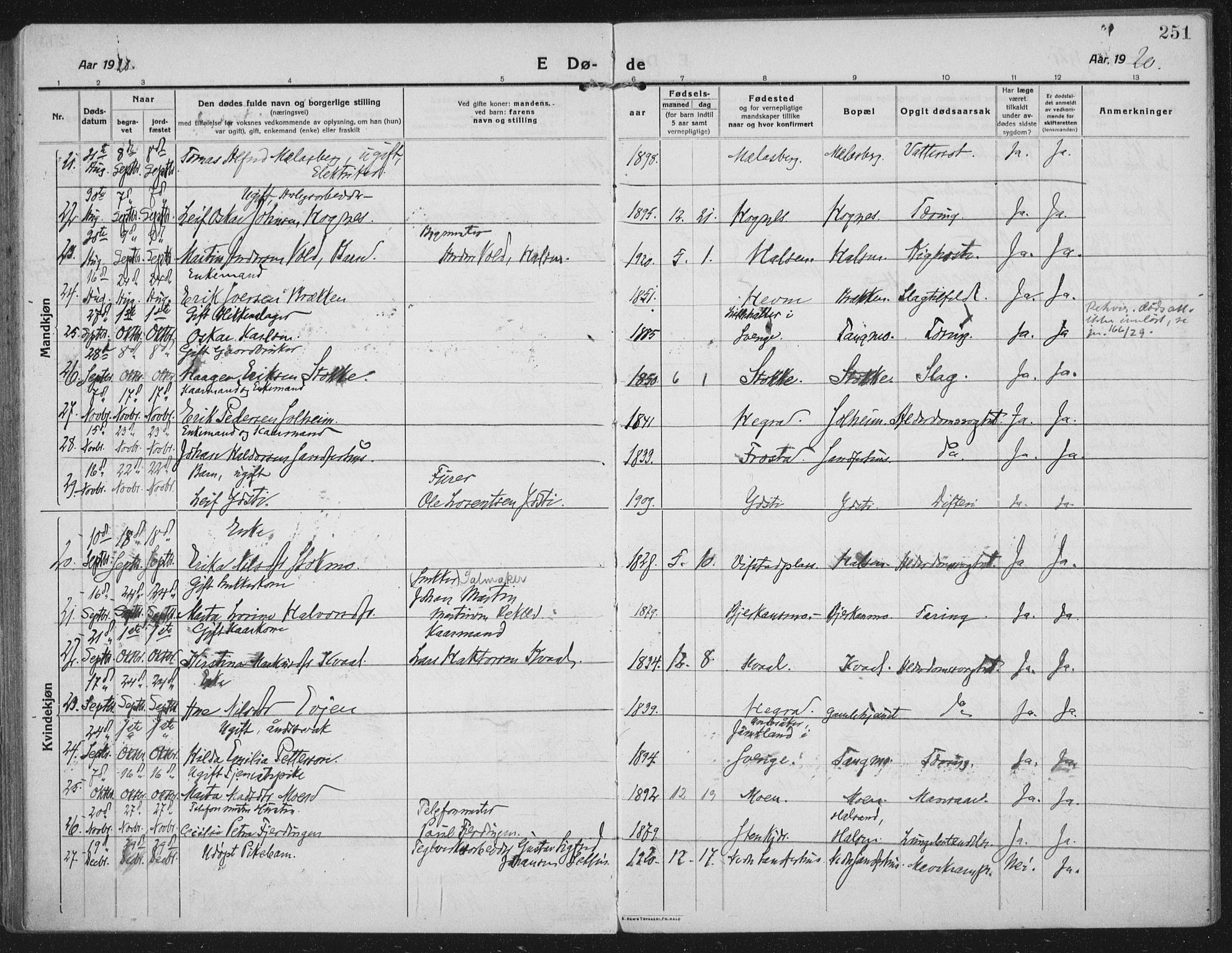 Ministerialprotokoller, klokkerbøker og fødselsregistre - Nord-Trøndelag, AV/SAT-A-1458/709/L0083: Parish register (official) no. 709A23, 1916-1928, p. 251