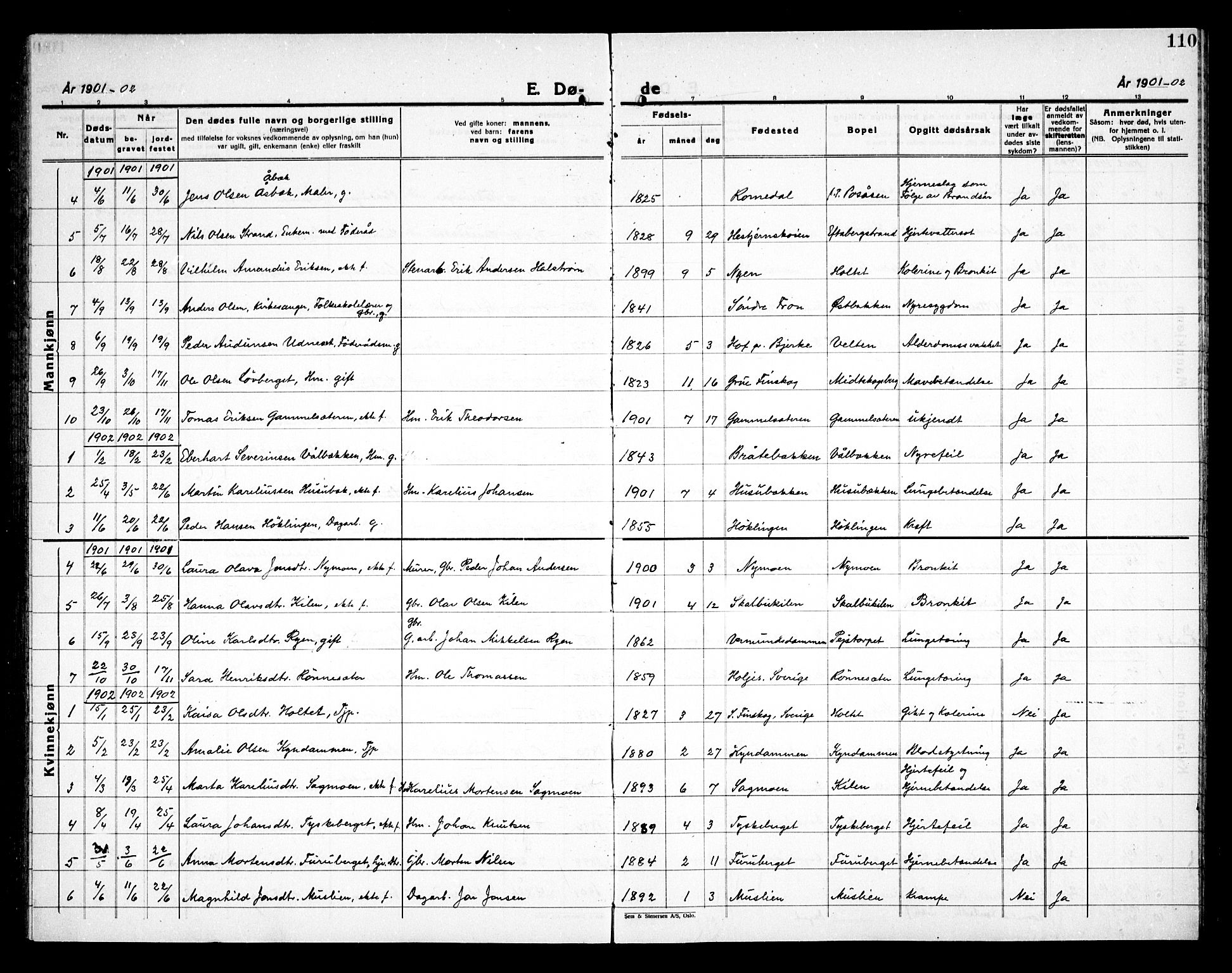 Åsnes prestekontor, AV/SAH-PREST-042/H/Ha/Haa/L0000E: Parish register (official) no. 0C, 1890-1929, p. 110