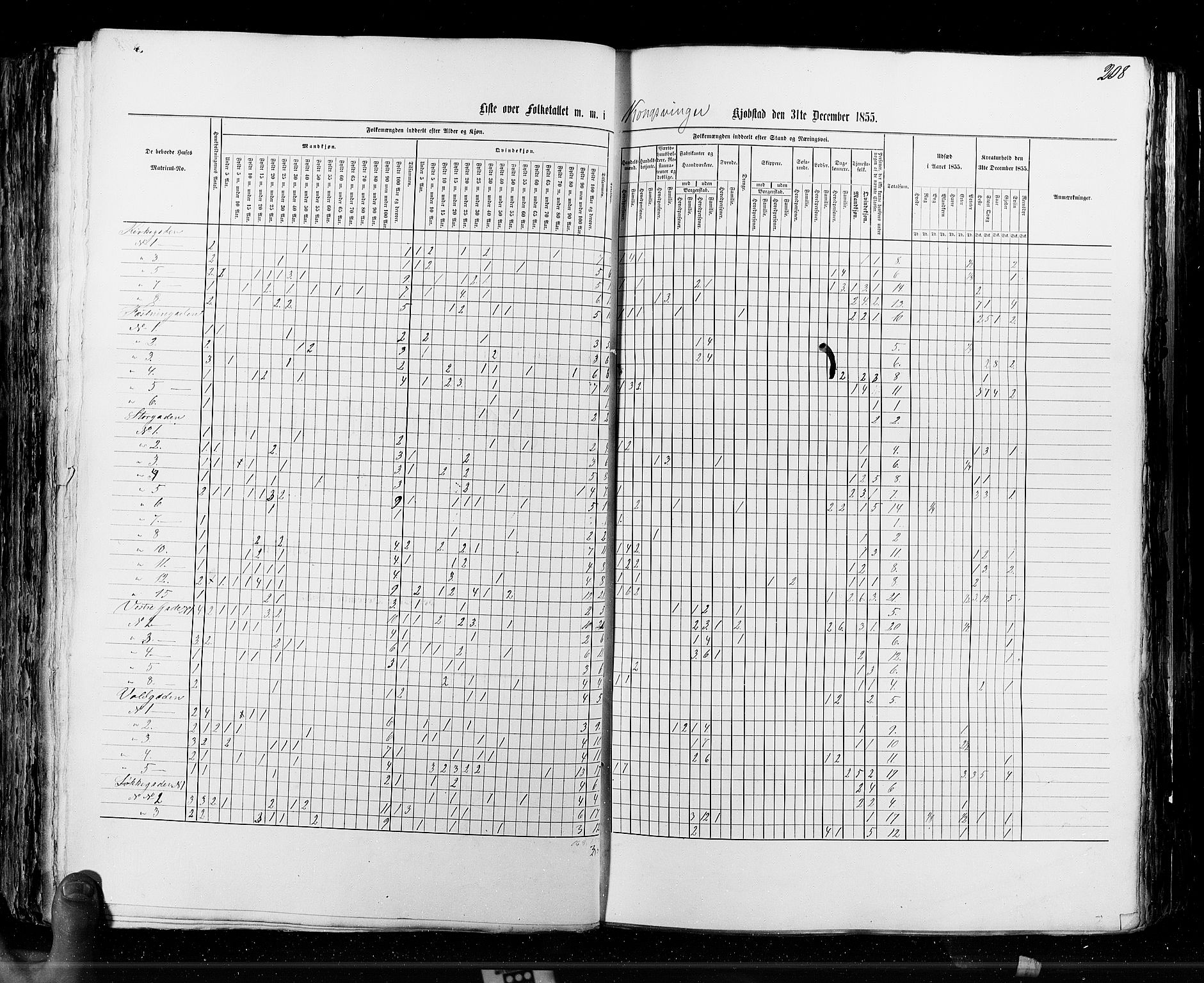 RA, Census 1855, vol. 7: Fredrikshald-Kragerø, 1855, p. 208