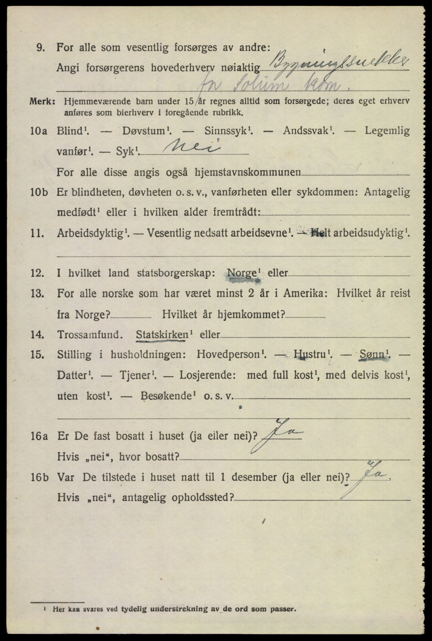 SAKO, 1920 census for Solum, 1920, p. 15345