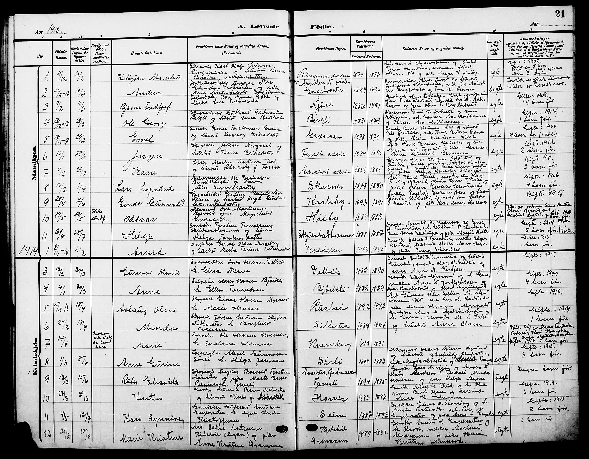 Sør-Odal prestekontor, AV/SAH-PREST-030/H/Ha/Hab/L0006: Parish register (copy) no. 6, 1906-1919, p. 21