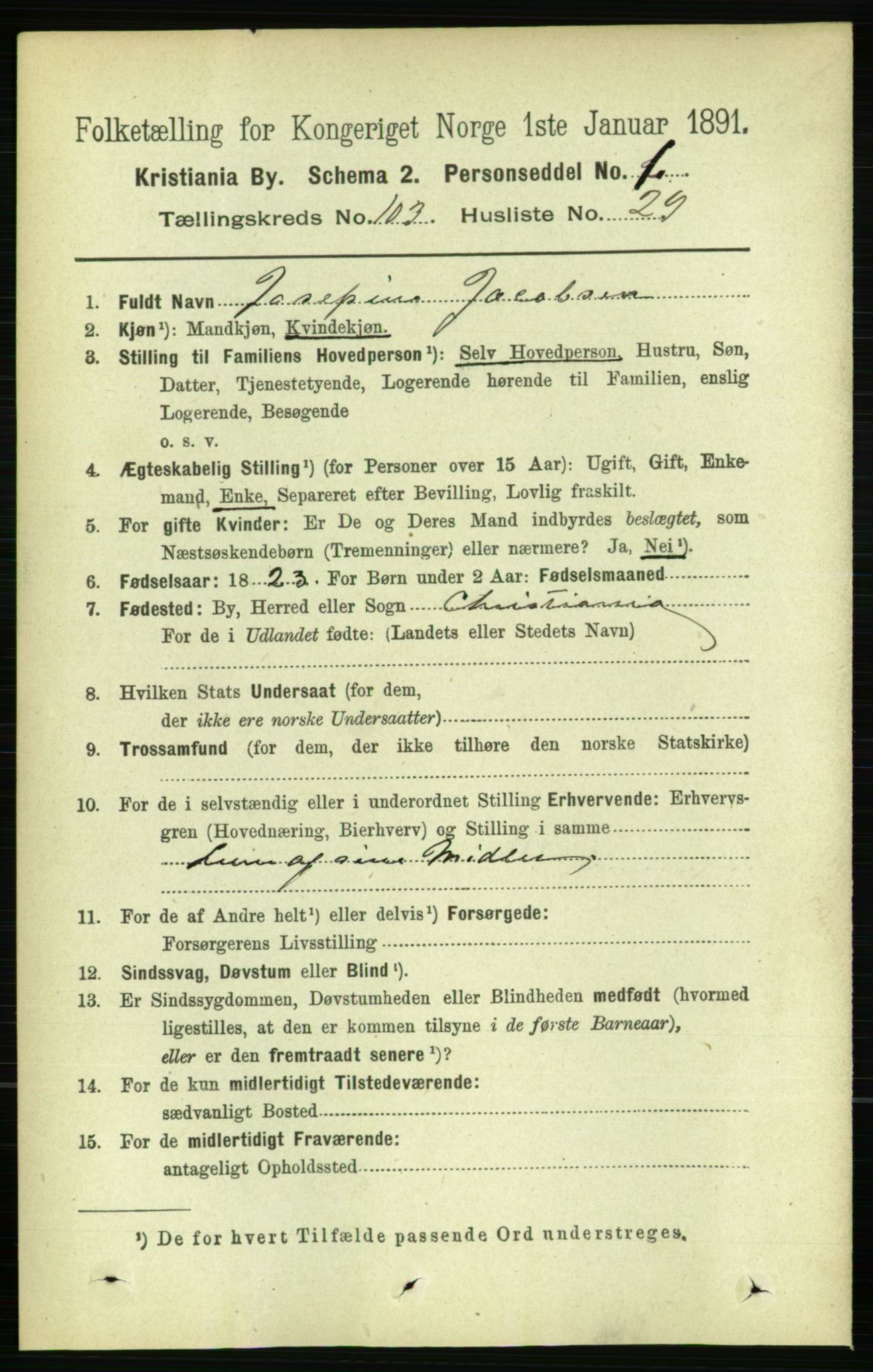 RA, 1891 census for 0301 Kristiania, 1891, p. 51794