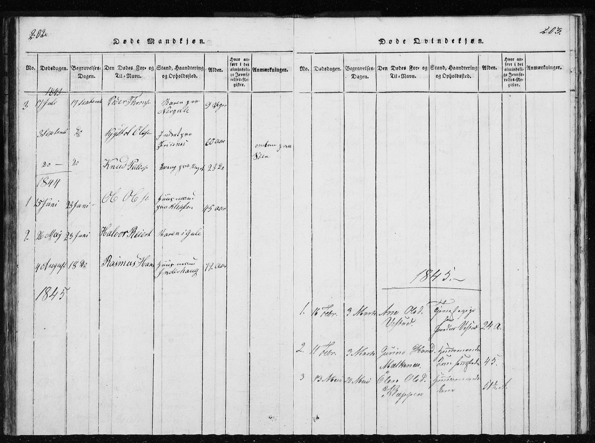 Ministerialprotokoller, klokkerbøker og fødselsregistre - Møre og Romsdal, AV/SAT-A-1454/566/L0772: Parish register (copy) no. 566C01, 1818-1845, p. 202-203