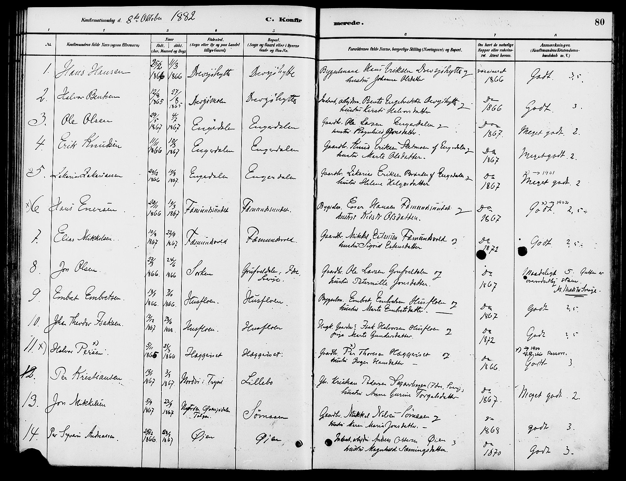 Engerdal prestekontor, AV/SAH-PREST-048/H/Ha/Haa/L0001: Parish register (official) no. 1, 1881-1898, p. 80