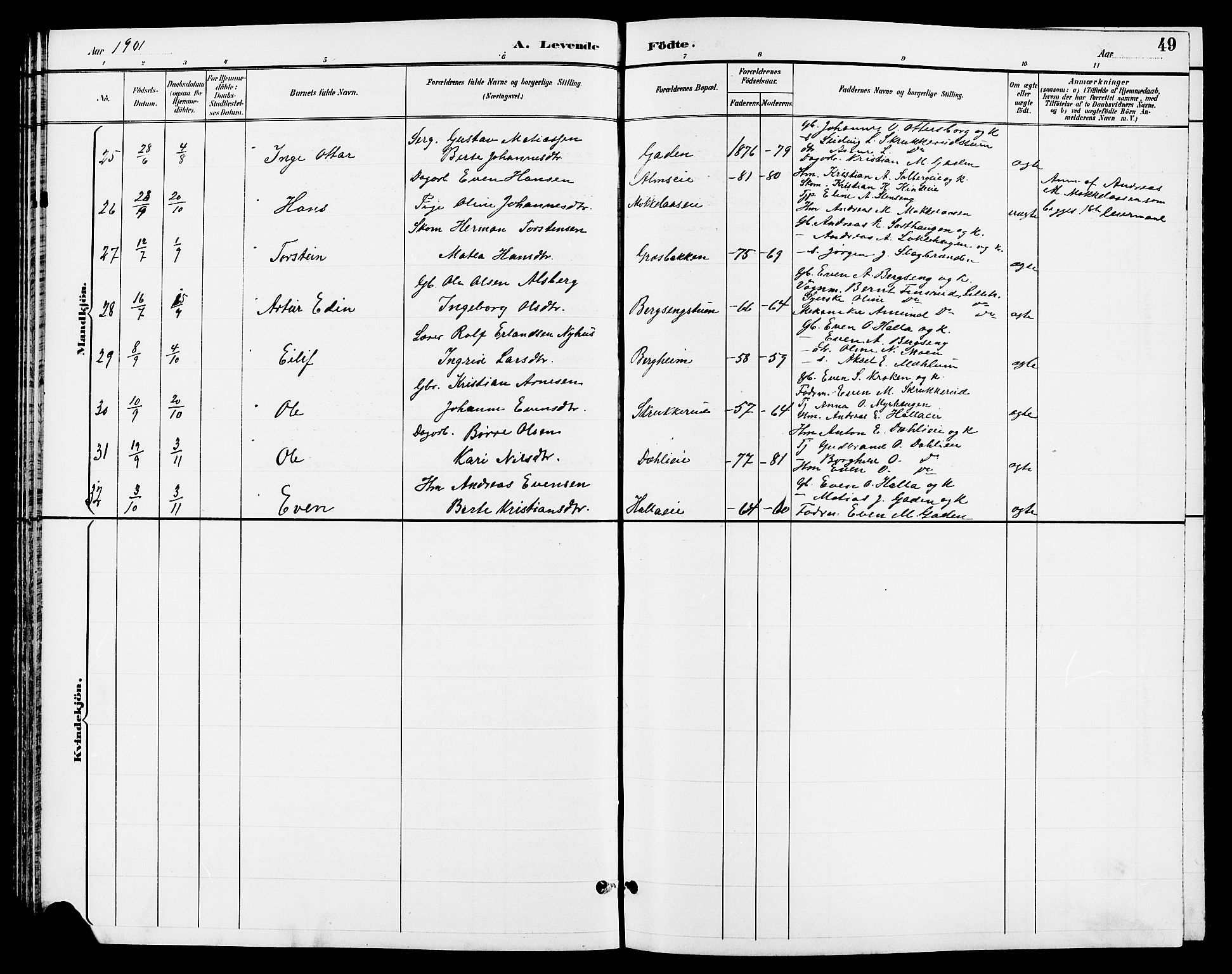 Ringsaker prestekontor, AV/SAH-PREST-014/L/La/L0013: Parish register (copy) no. 13, 1891-1904, p. 49
