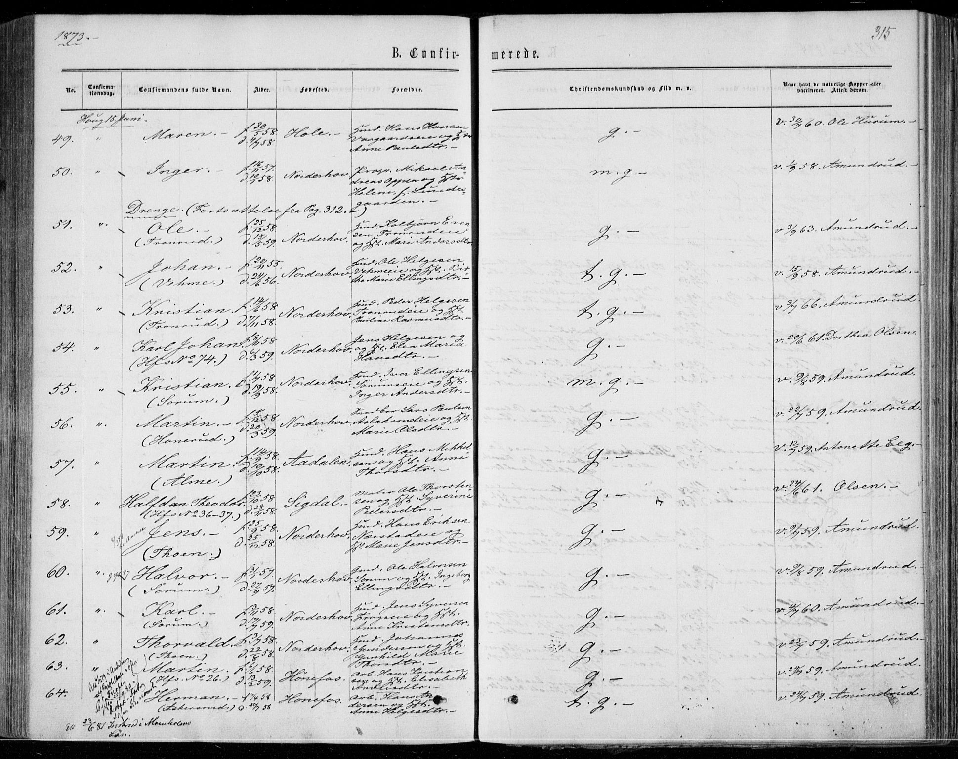 Norderhov kirkebøker, SAKO/A-237/F/Fa/L0013: Parish register (official) no. 13, 1866-1874, p. 315