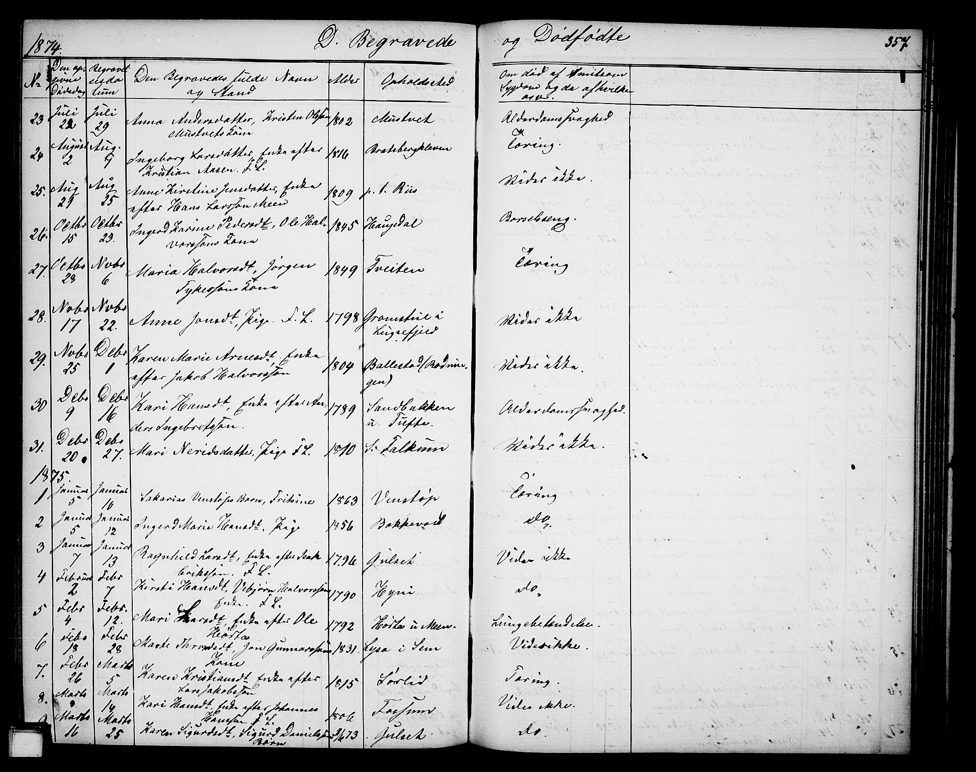 Gjerpen kirkebøker, SAKO/A-265/G/Ga/L0001: Parish register (copy) no. I 1, 1864-1882, p. 357