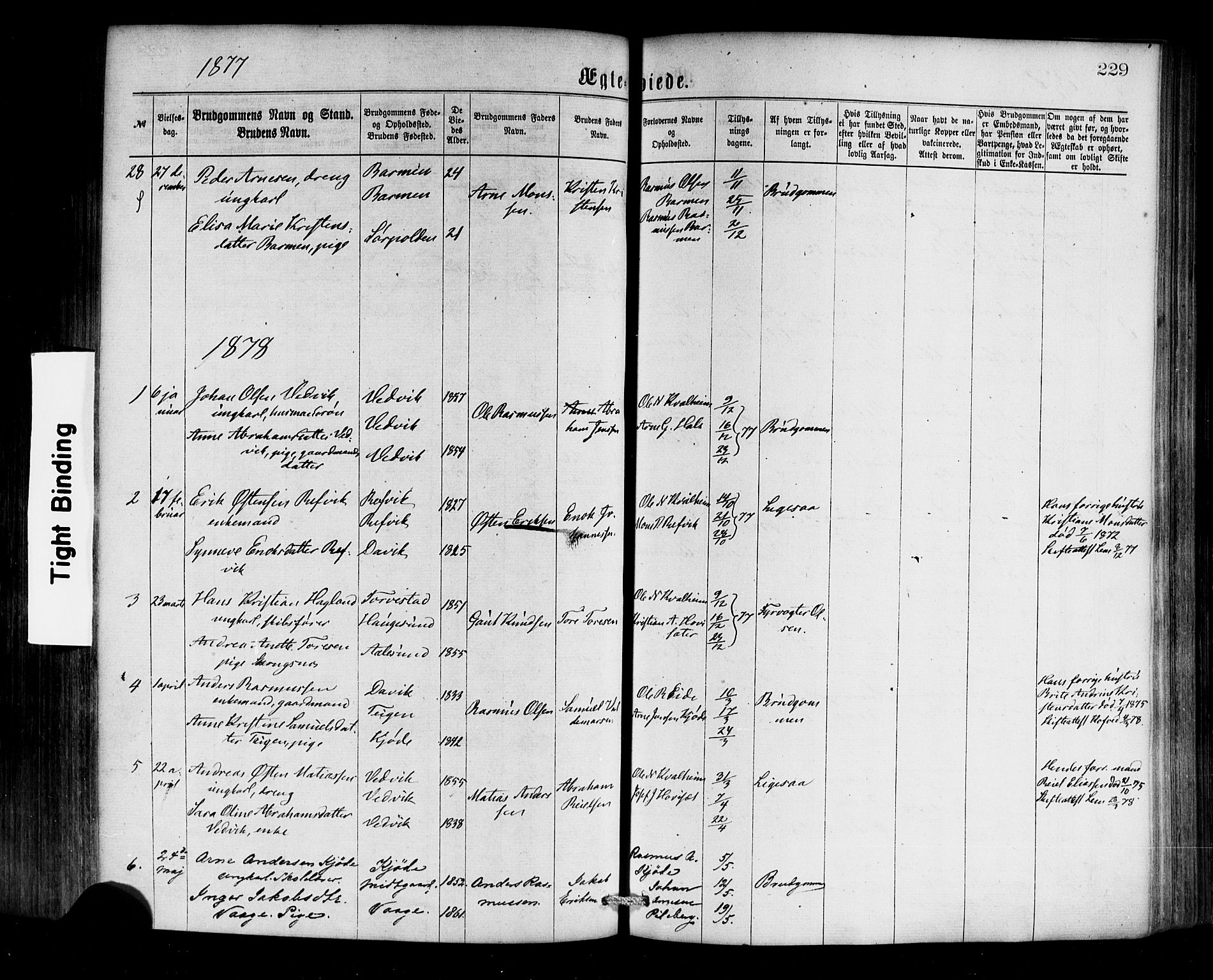 Selje sokneprestembete, SAB/A-99938/H/Ha/Haa/Haaa: Parish register (official) no. A 12, 1870-1880, p. 229