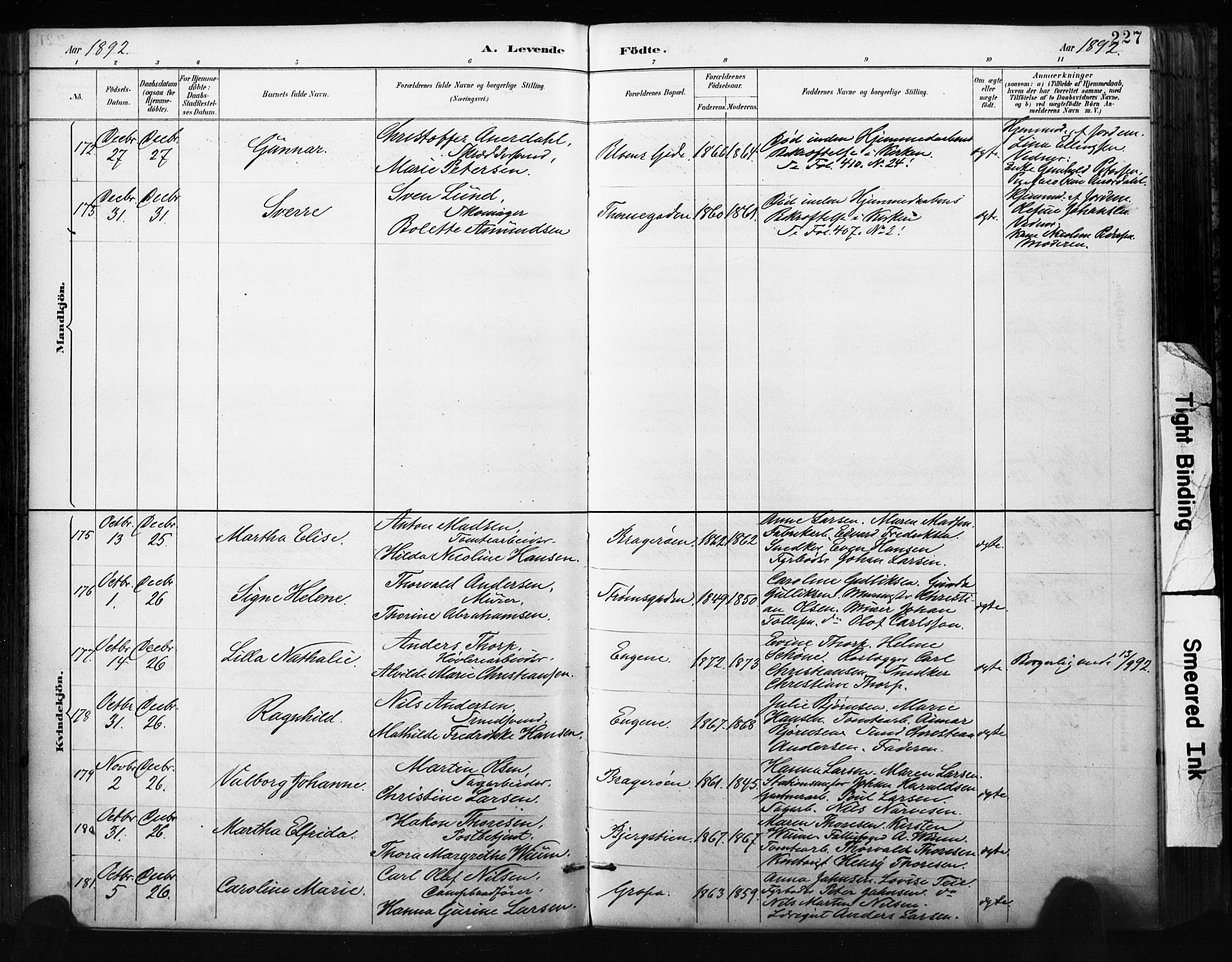 Bragernes kirkebøker, AV/SAKO-A-6/F/Fb/L0007: Parish register (official) no. II 7, 1885-1893, p. 227