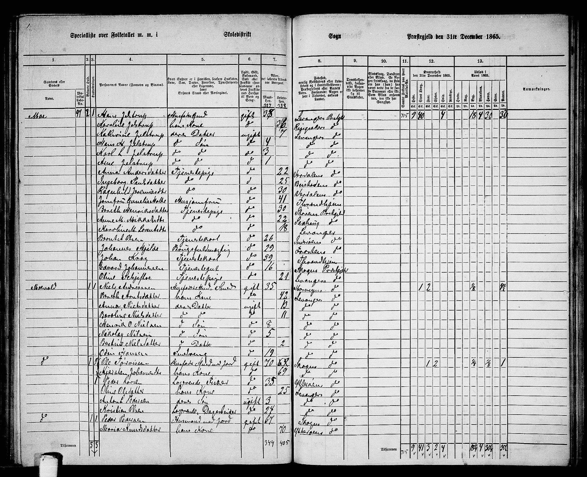 RA, 1865 census for Levanger/Levanger, 1865, p. 53