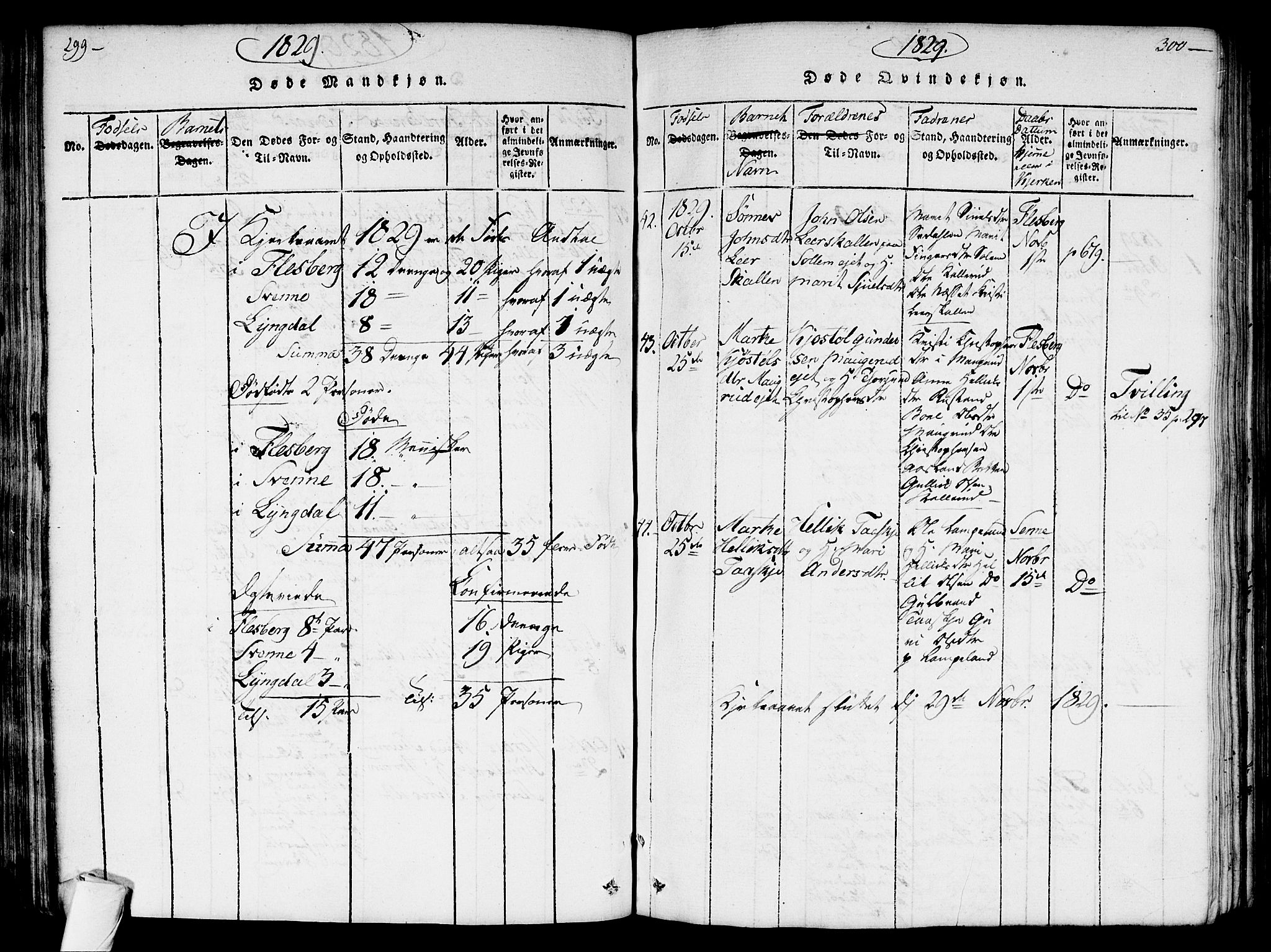 Flesberg kirkebøker, SAKO/A-18/G/Ga/L0001: Parish register (copy) no. I 1, 1816-1834, p. 299-300