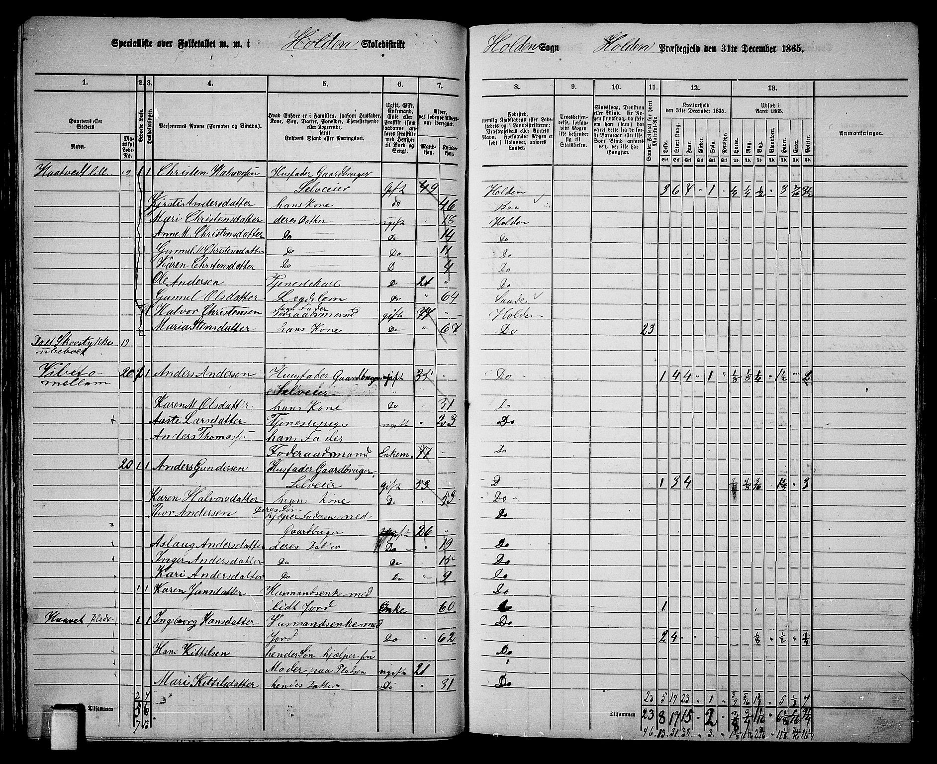 RA, 1865 census for Holla, 1865, p. 43