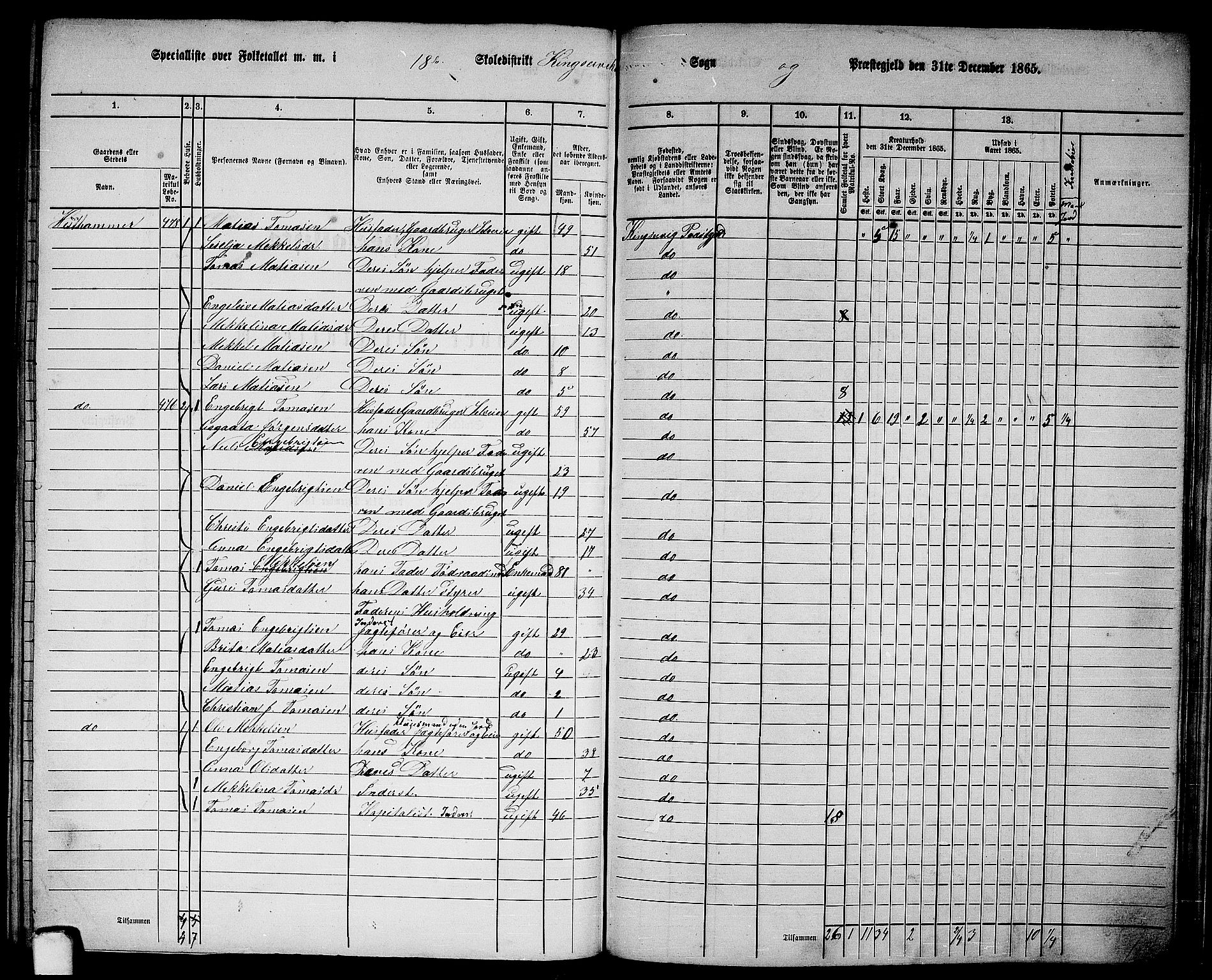 RA, 1865 census for Kinsarvik, 1865, p. 202