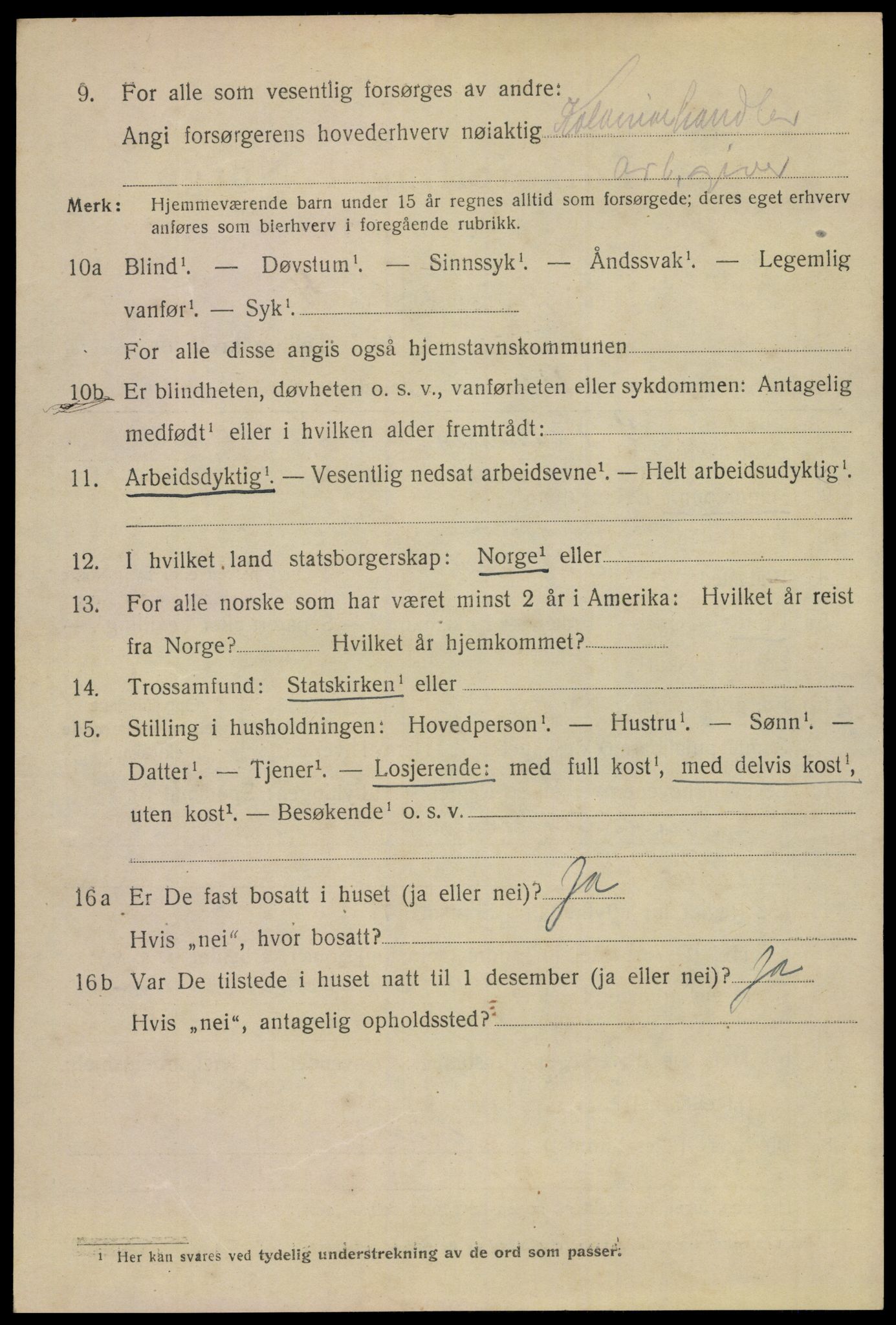 SAKO, 1920 census for Skien, 1920, p. 24345