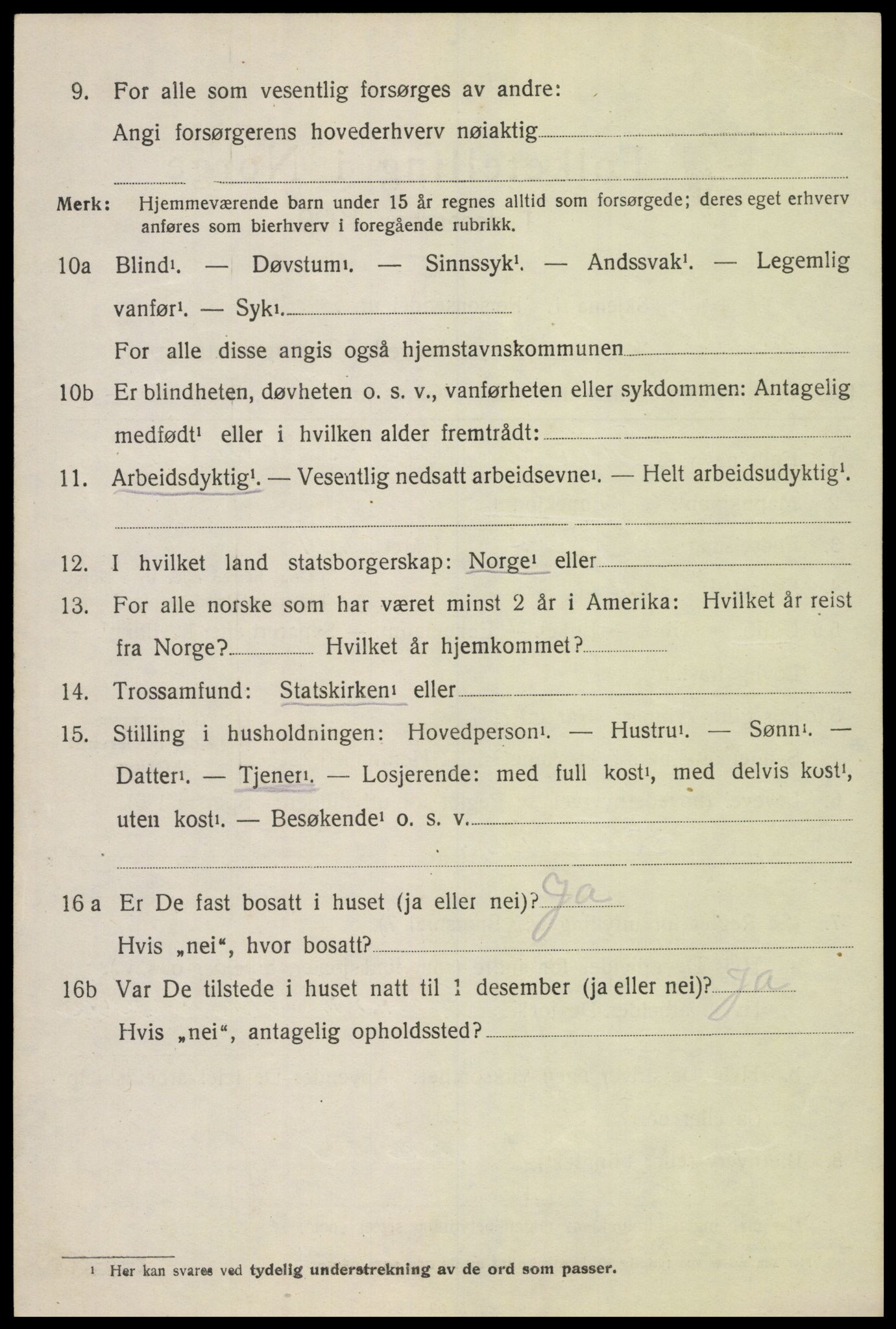 SAH, 1920 census for Heidal, 1920, p. 509