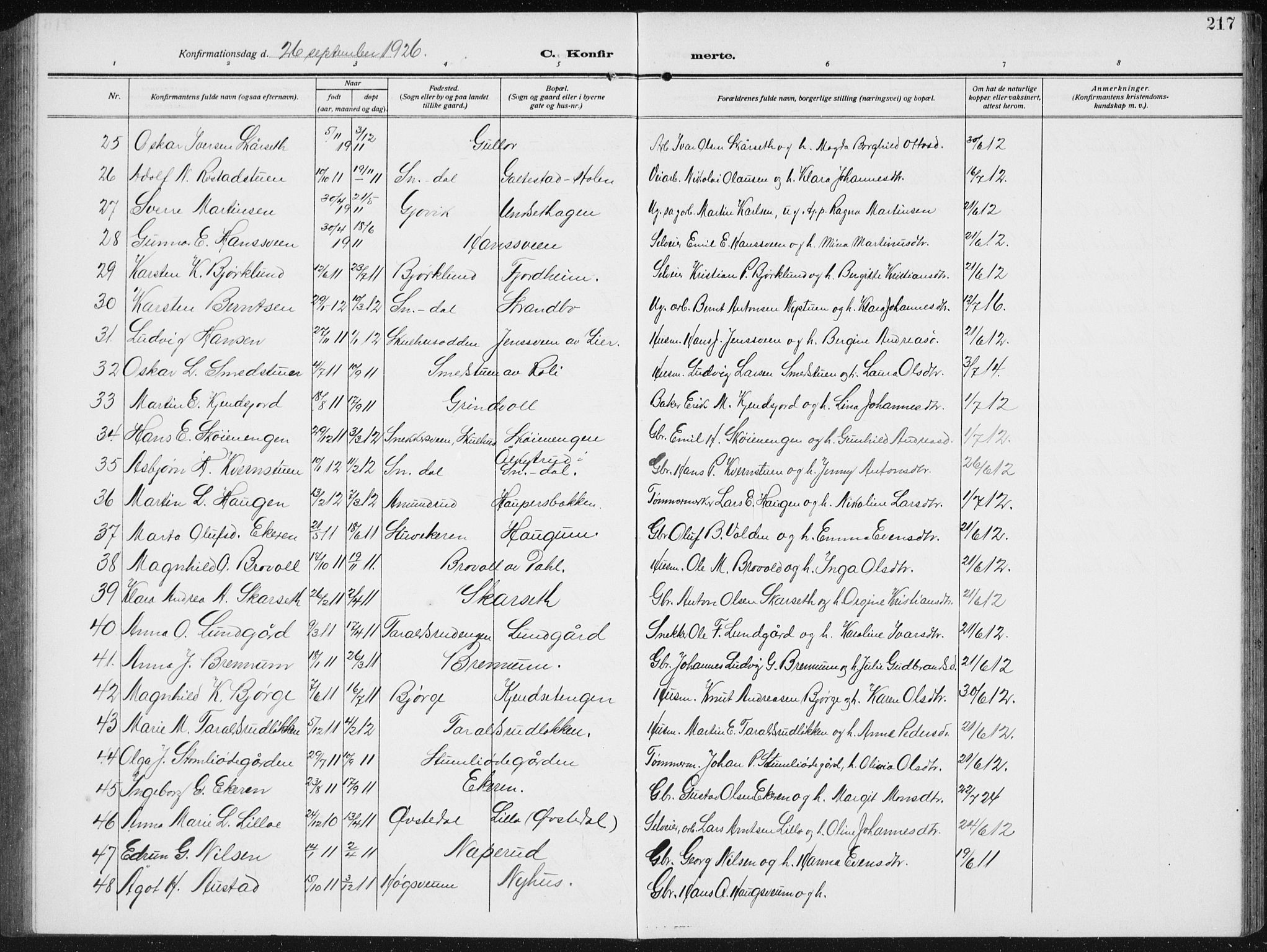 Biri prestekontor, SAH/PREST-096/H/Ha/Hab/L0006: Parish register (copy) no. 6, 1909-1938, p. 217
