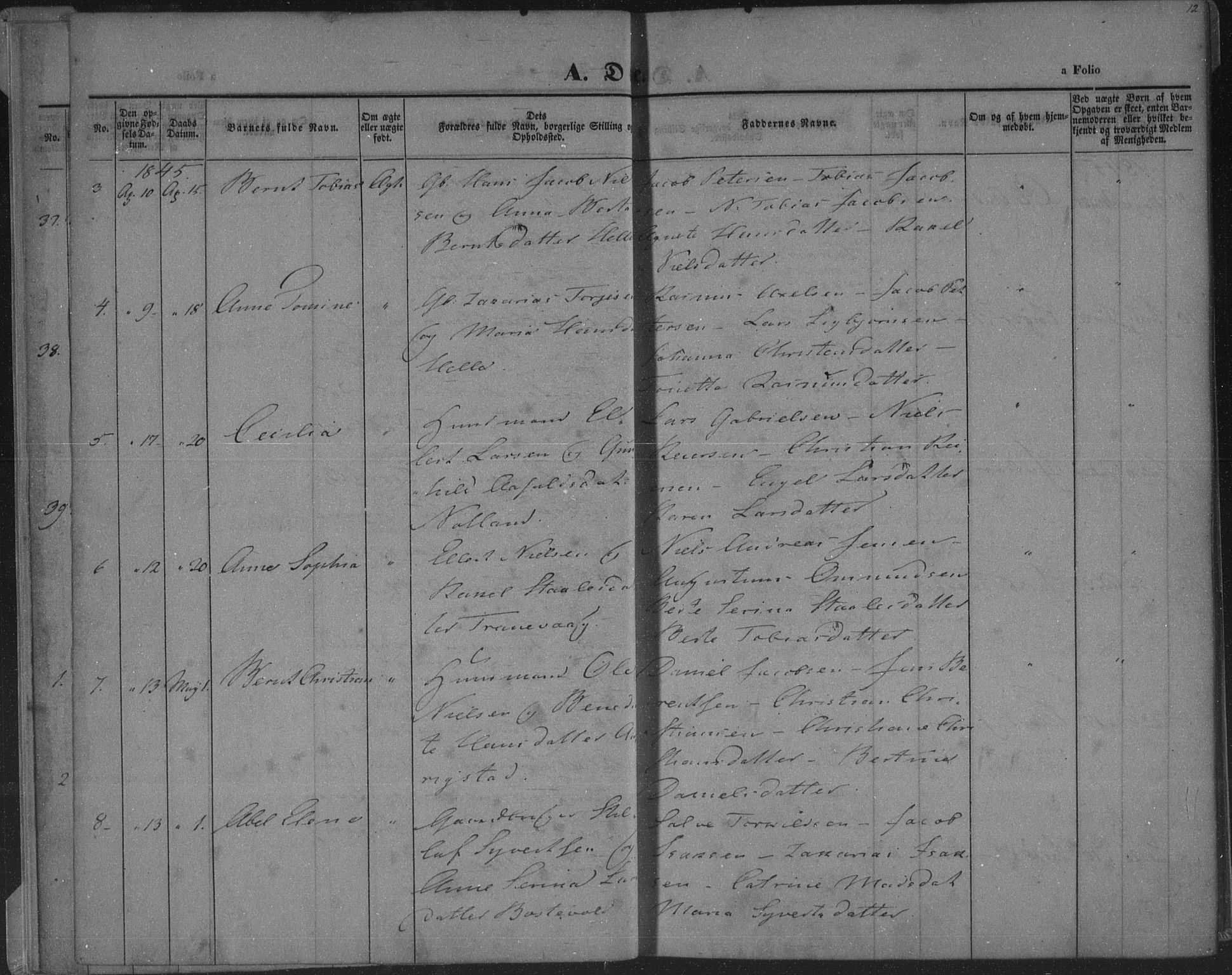 Herad sokneprestkontor, SAK/1111-0018/F/Fa/Fab/L0003: Parish register (official) no. A 3, 1844-1853, p. 12