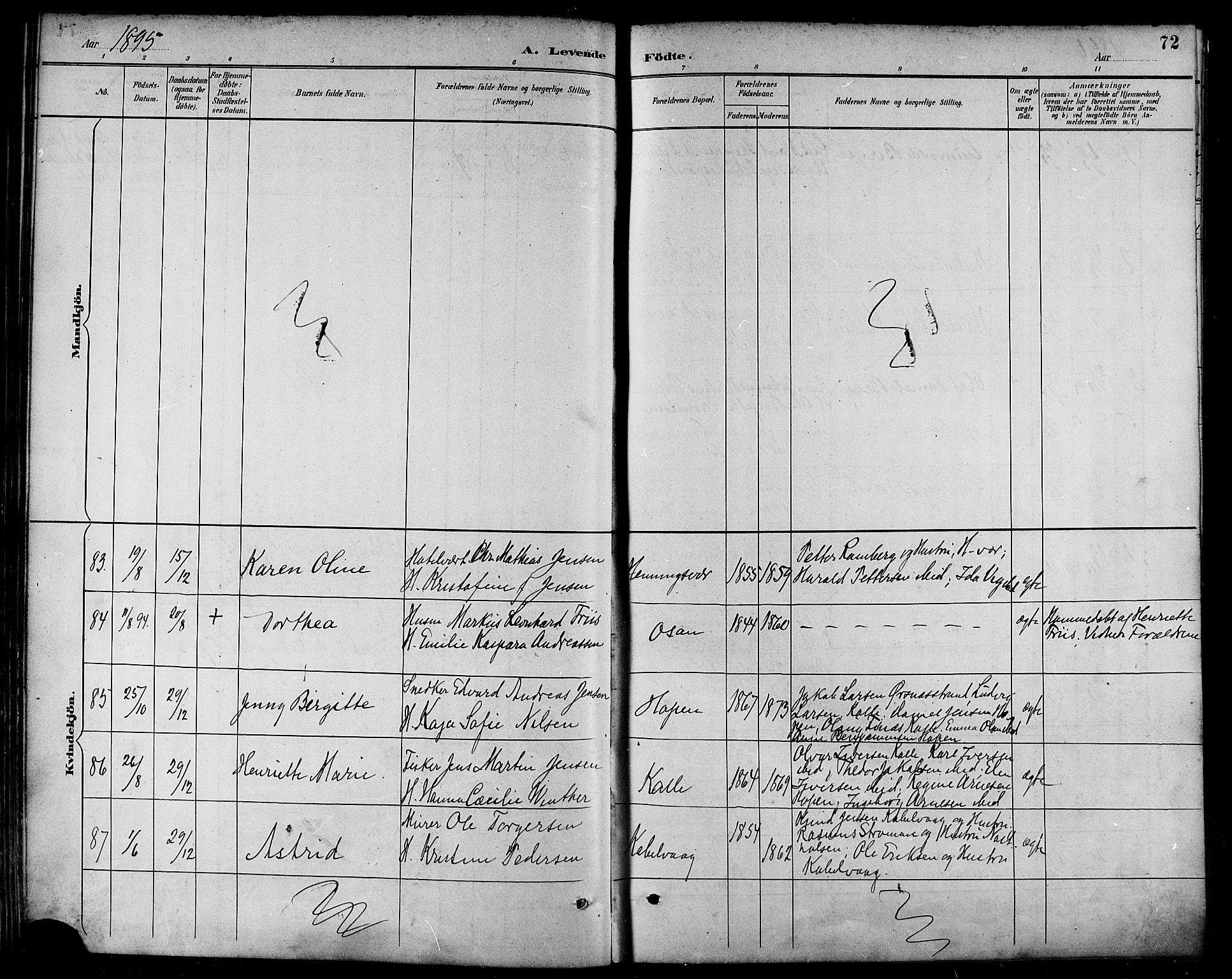 Ministerialprotokoller, klokkerbøker og fødselsregistre - Nordland, AV/SAT-A-1459/874/L1060: Parish register (official) no. 874A04, 1890-1899, p. 72