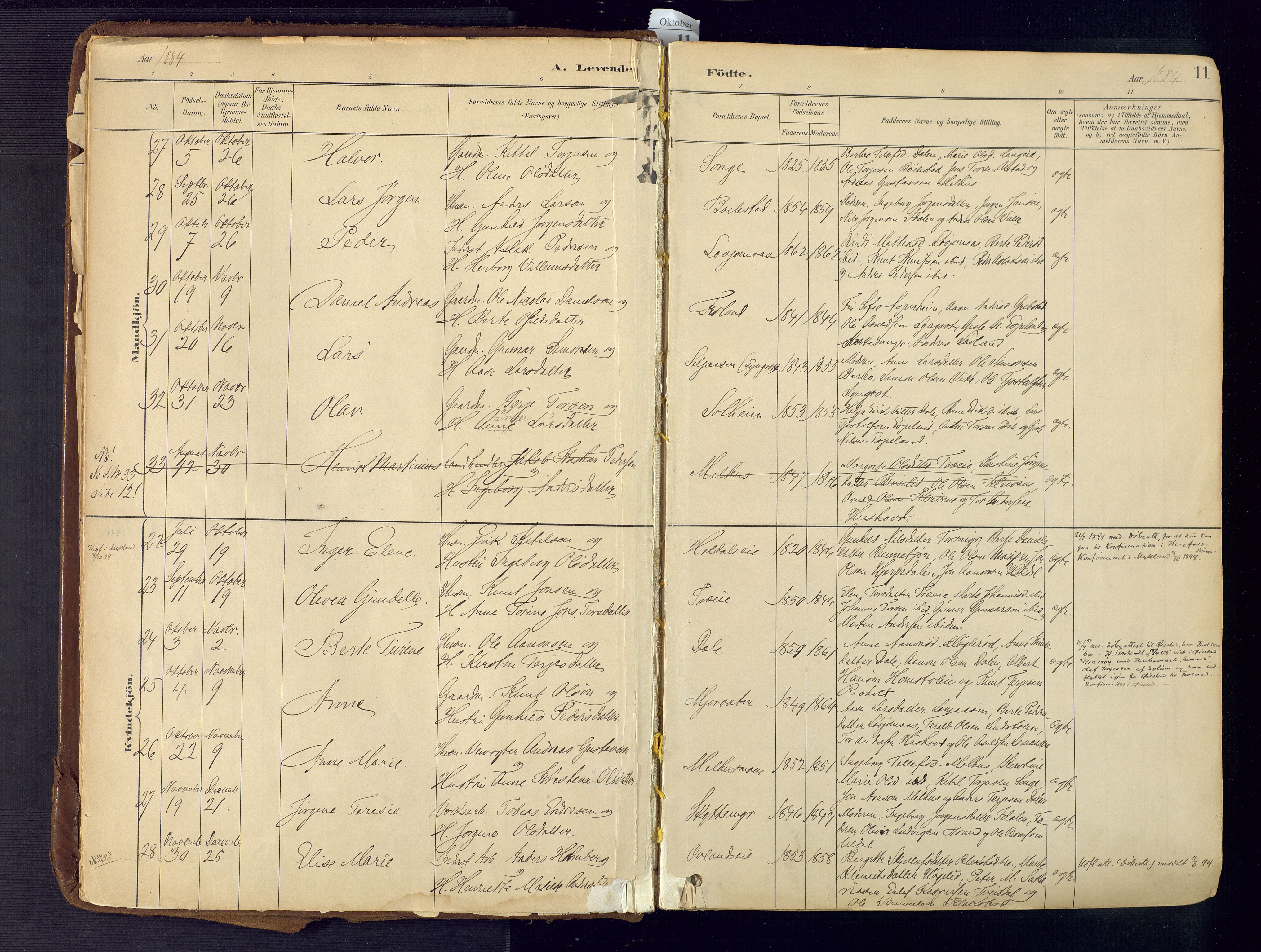 Froland sokneprestkontor, SAK/1111-0013/F/Fa/L0005: Parish register (official) no. A 5, 1882-1921, p. 11