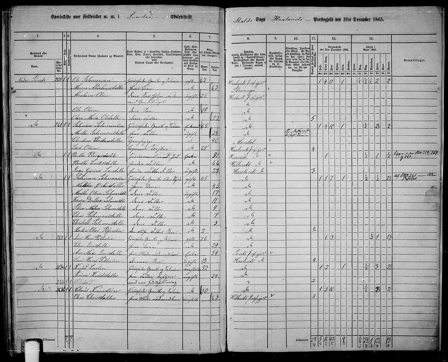 RA, 1865 census for Håland, 1865, p. 119