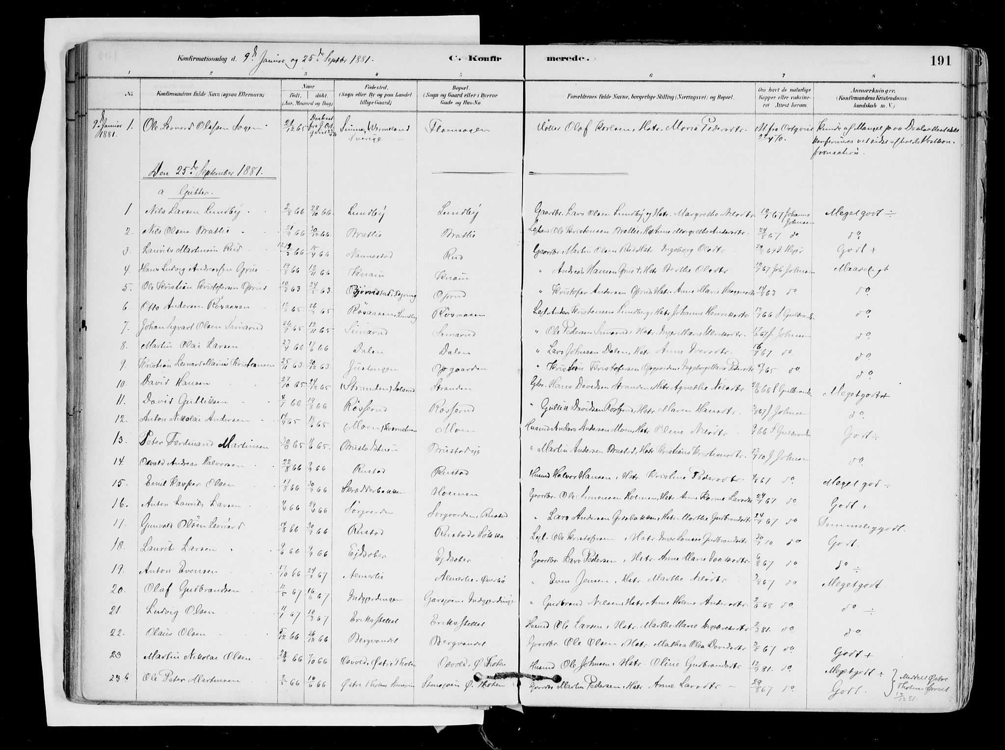 Hurdal prestekontor Kirkebøker, SAO/A-10889/F/Fa/L0007: Parish register (official) no. I 7, 1878-1906, p. 191
