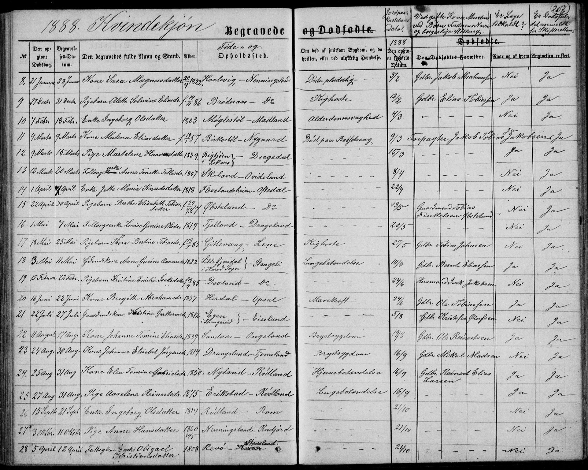 Lyngdal sokneprestkontor, AV/SAK-1111-0029/F/Fb/Fbc/L0004: Parish register (copy) no. B 4, 1878-1896, p. 207