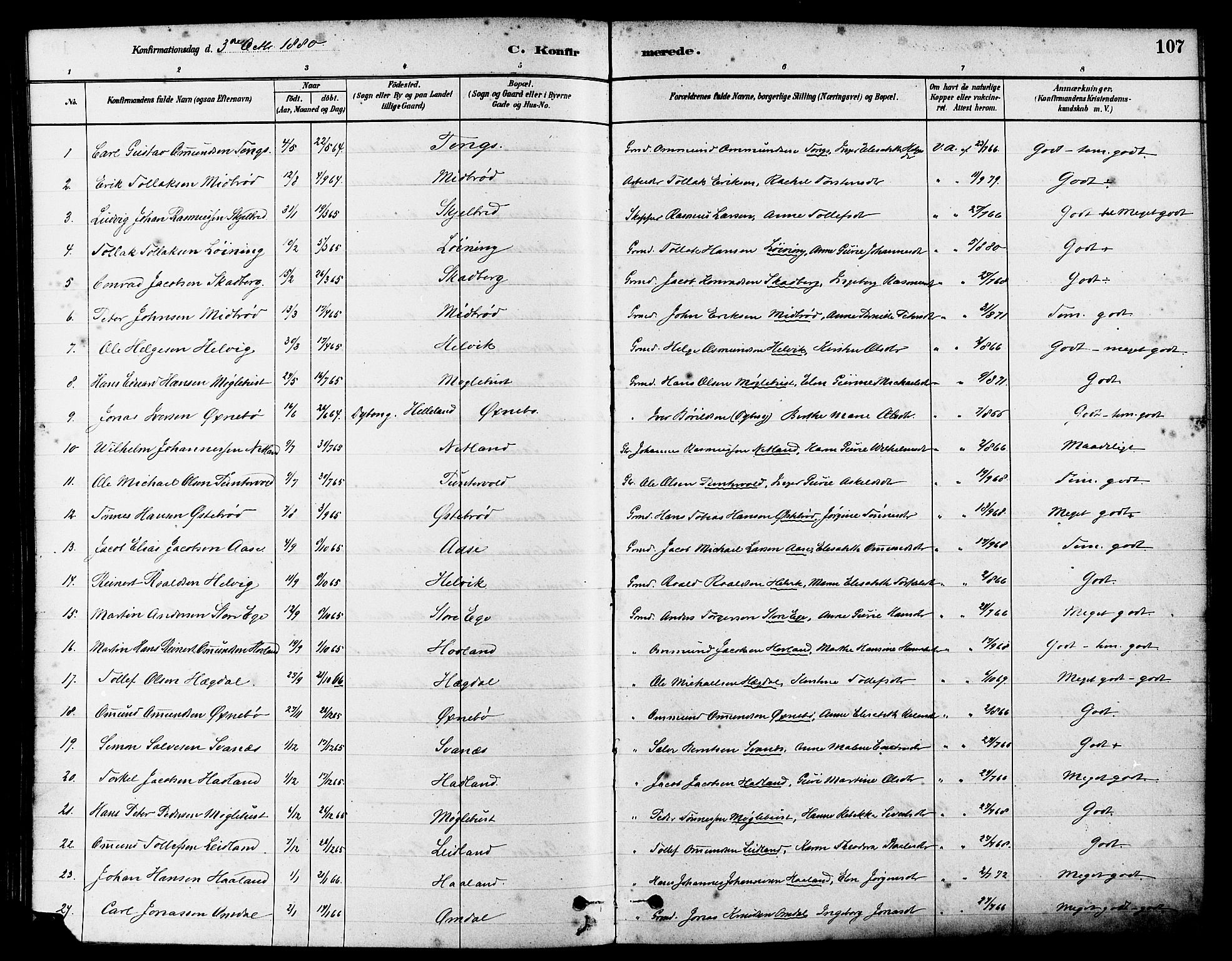 Eigersund sokneprestkontor, SAST/A-101807/S08/L0017: Parish register (official) no. A 14, 1879-1892, p. 107