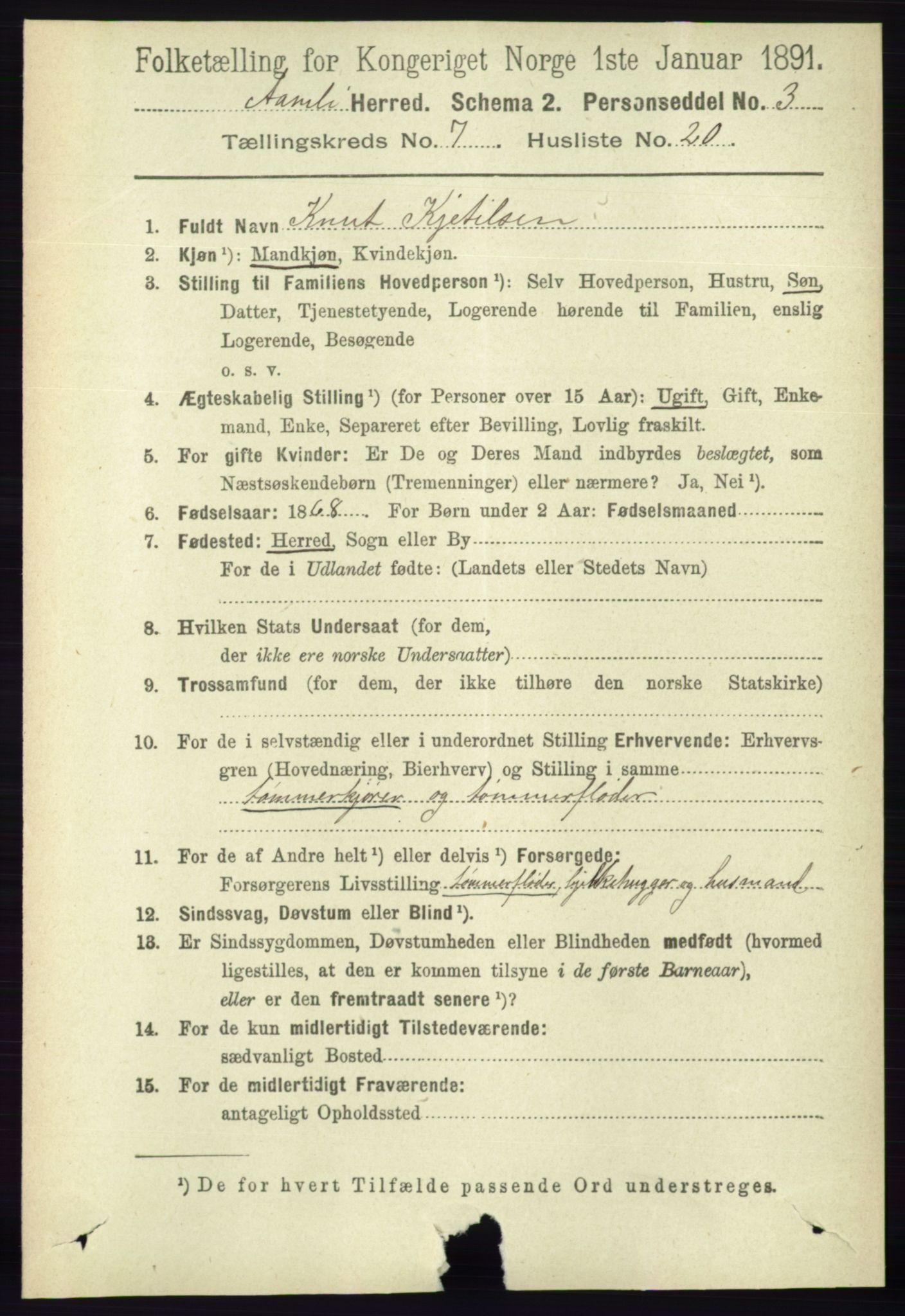 RA, 1891 census for 0929 Åmli, 1891, p. 1062