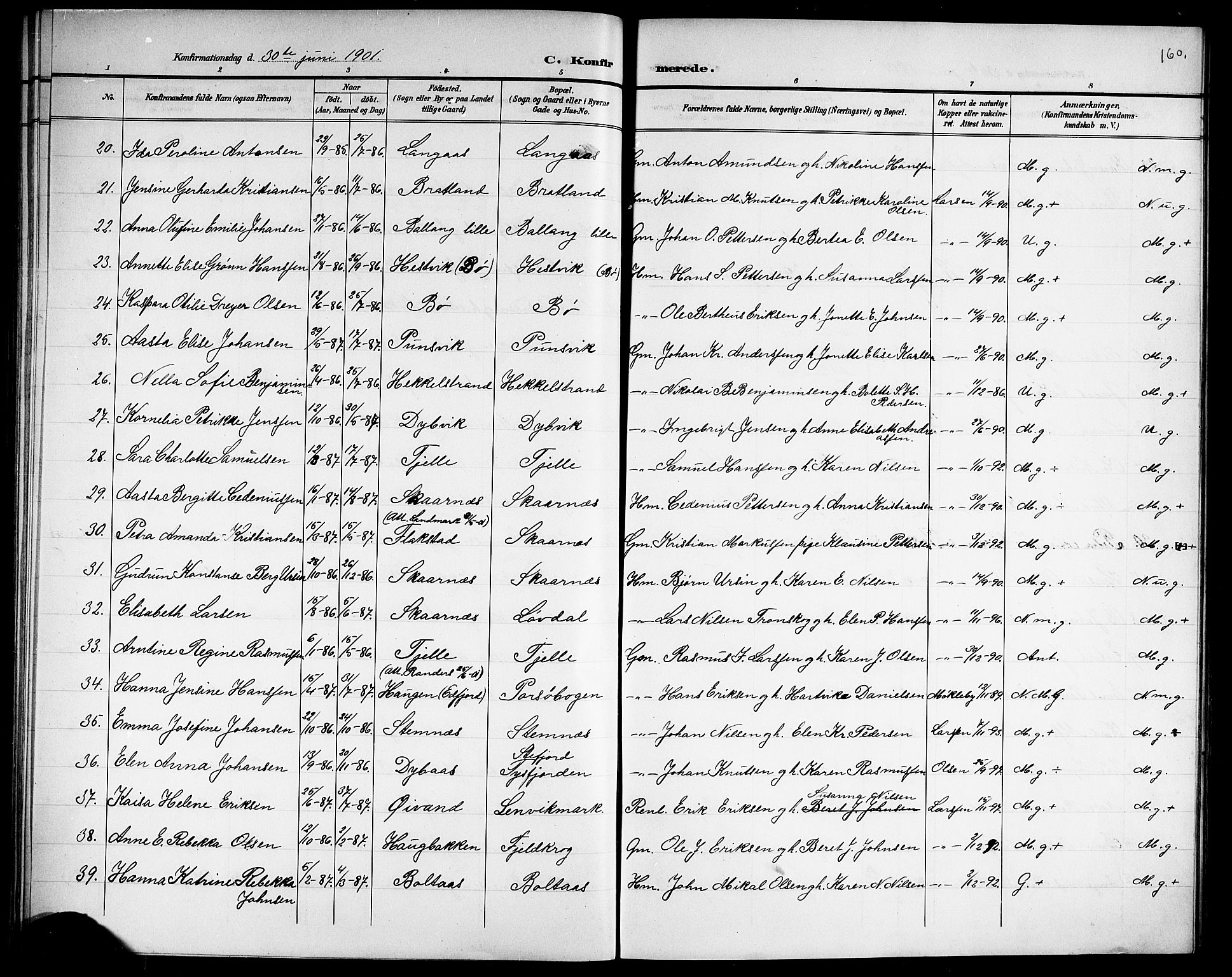 Ministerialprotokoller, klokkerbøker og fødselsregistre - Nordland, AV/SAT-A-1459/863/L0915: Parish register (copy) no. 863C05, 1898-1907, p. 160