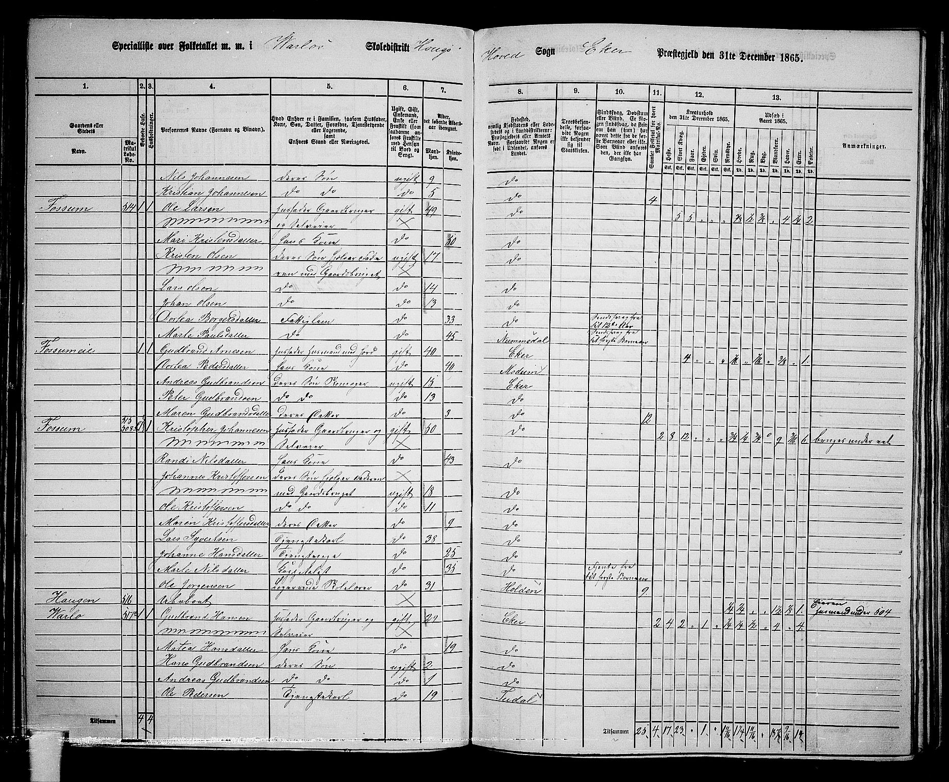 RA, 1865 census for Eiker, 1865, p. 138