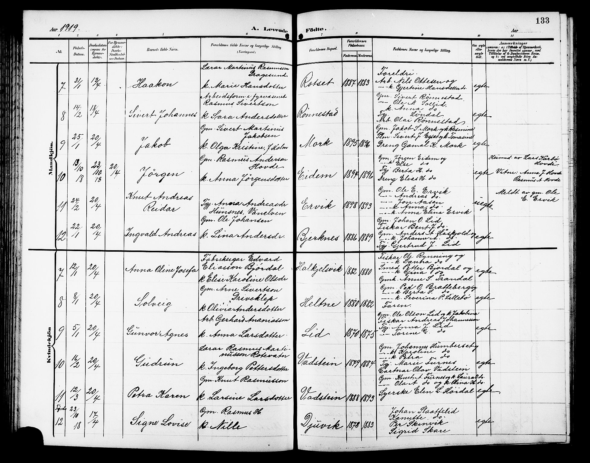 Ministerialprotokoller, klokkerbøker og fødselsregistre - Møre og Romsdal, SAT/A-1454/511/L0159: Parish register (copy) no. 511C05, 1902-1920, p. 133