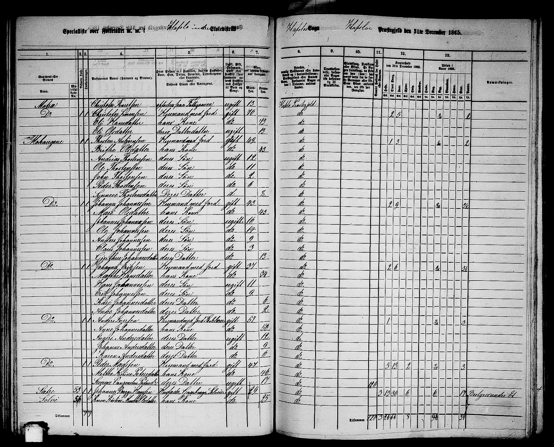 RA, 1865 census for Hafslo, 1865, p. 49