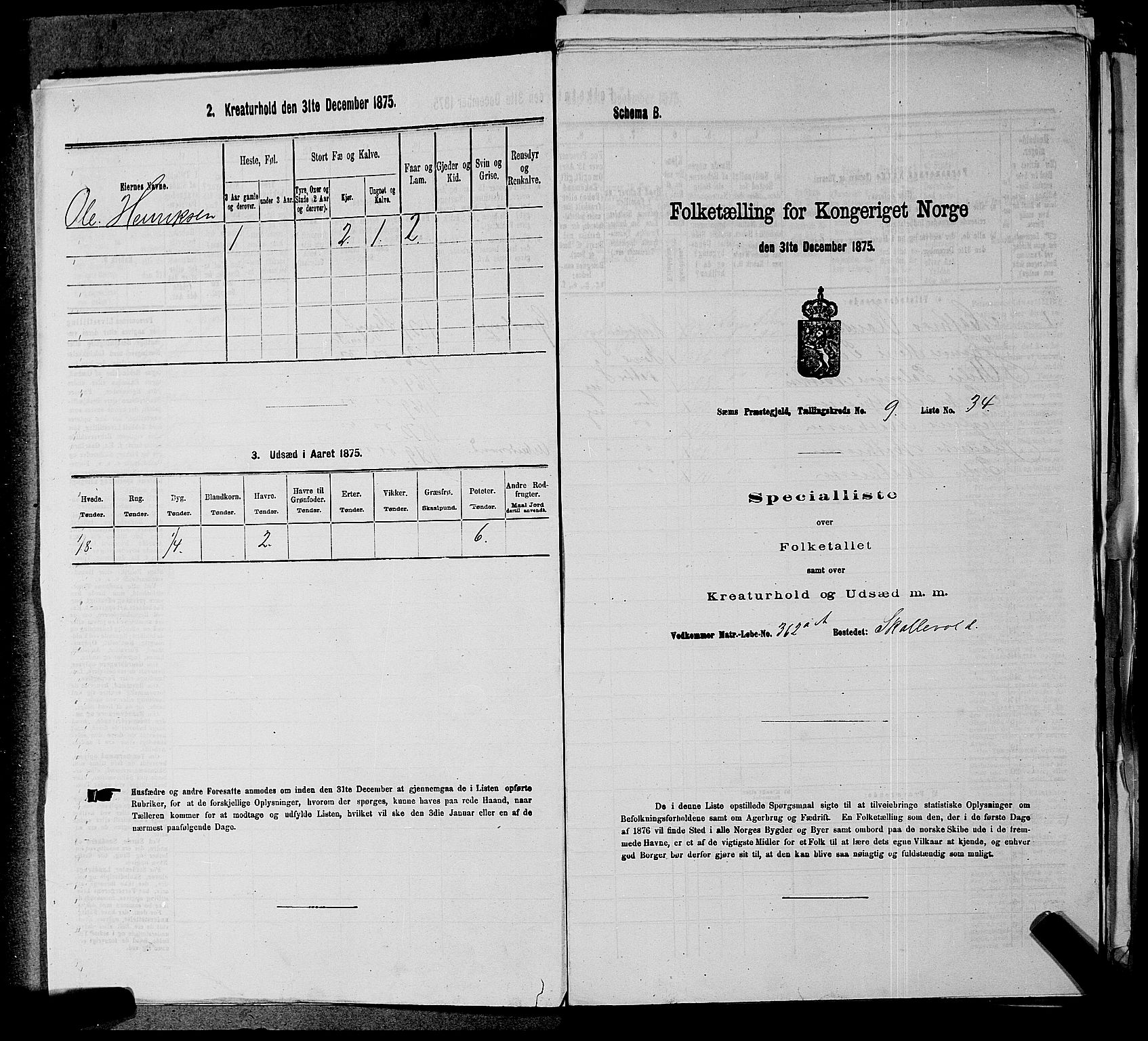 SAKO, 1875 census for 0721P Sem, 1875, p. 1498