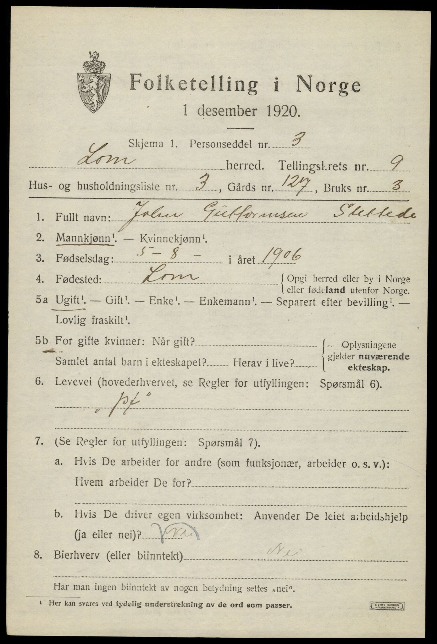 SAH, 1920 census for Lom, 1920, p. 5096