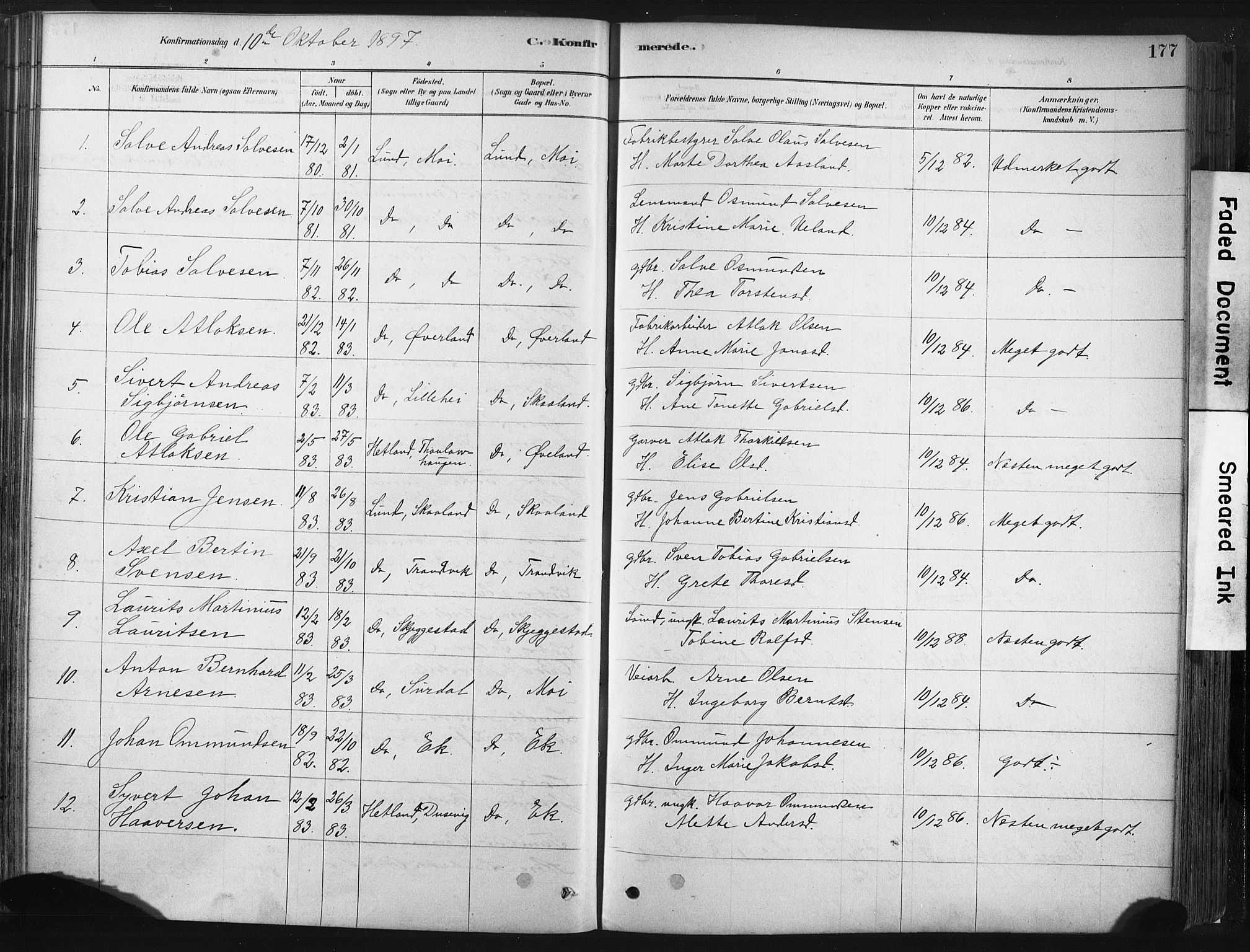 Lund sokneprestkontor, AV/SAST-A-101809/S06/L0011: Parish register (official) no. A 10, 1877-1904, p. 177