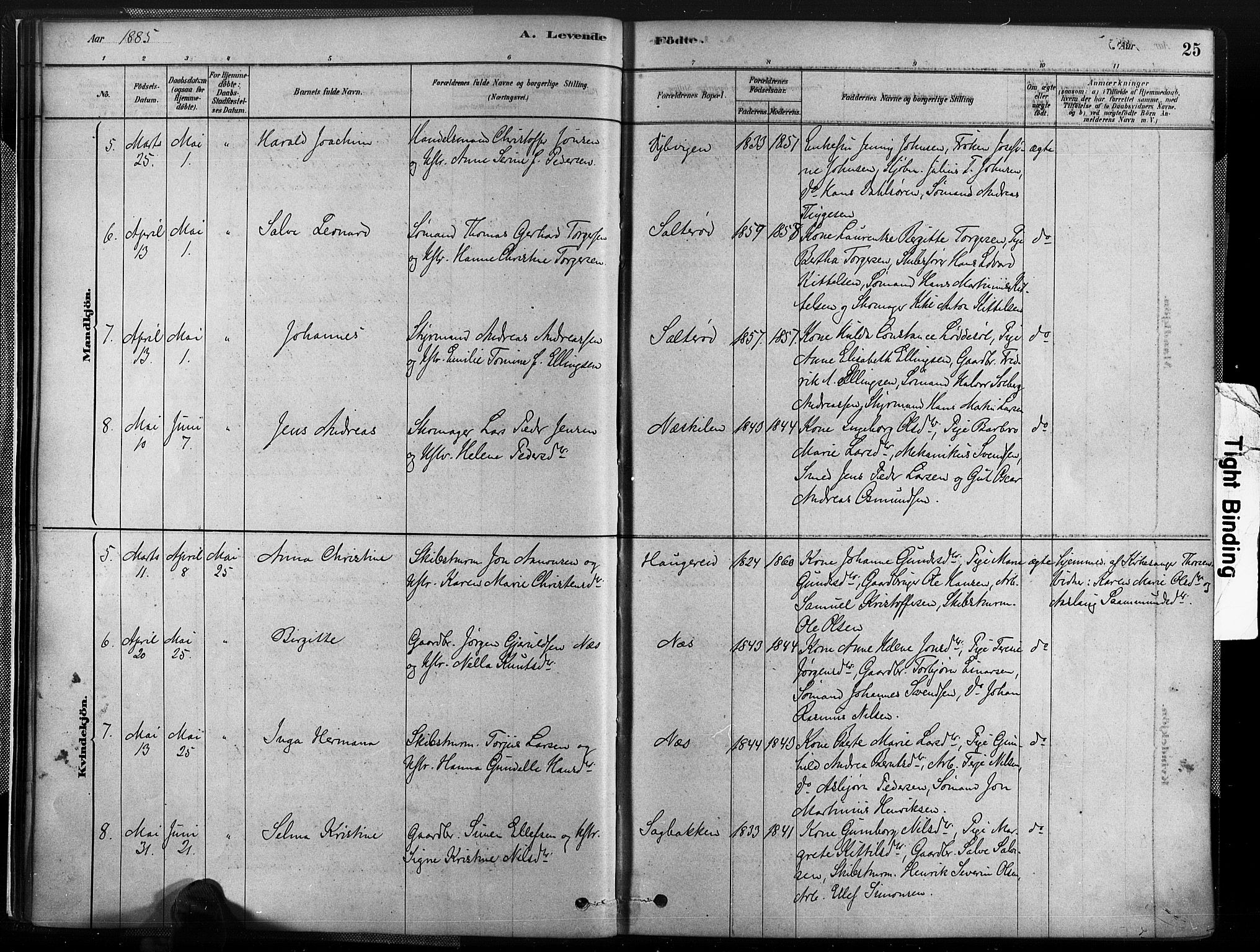 Austre Moland sokneprestkontor, SAK/1111-0001/F/Fa/Fab/L0001: Parish register (official) no. A 1, 1878-1898, p. 25