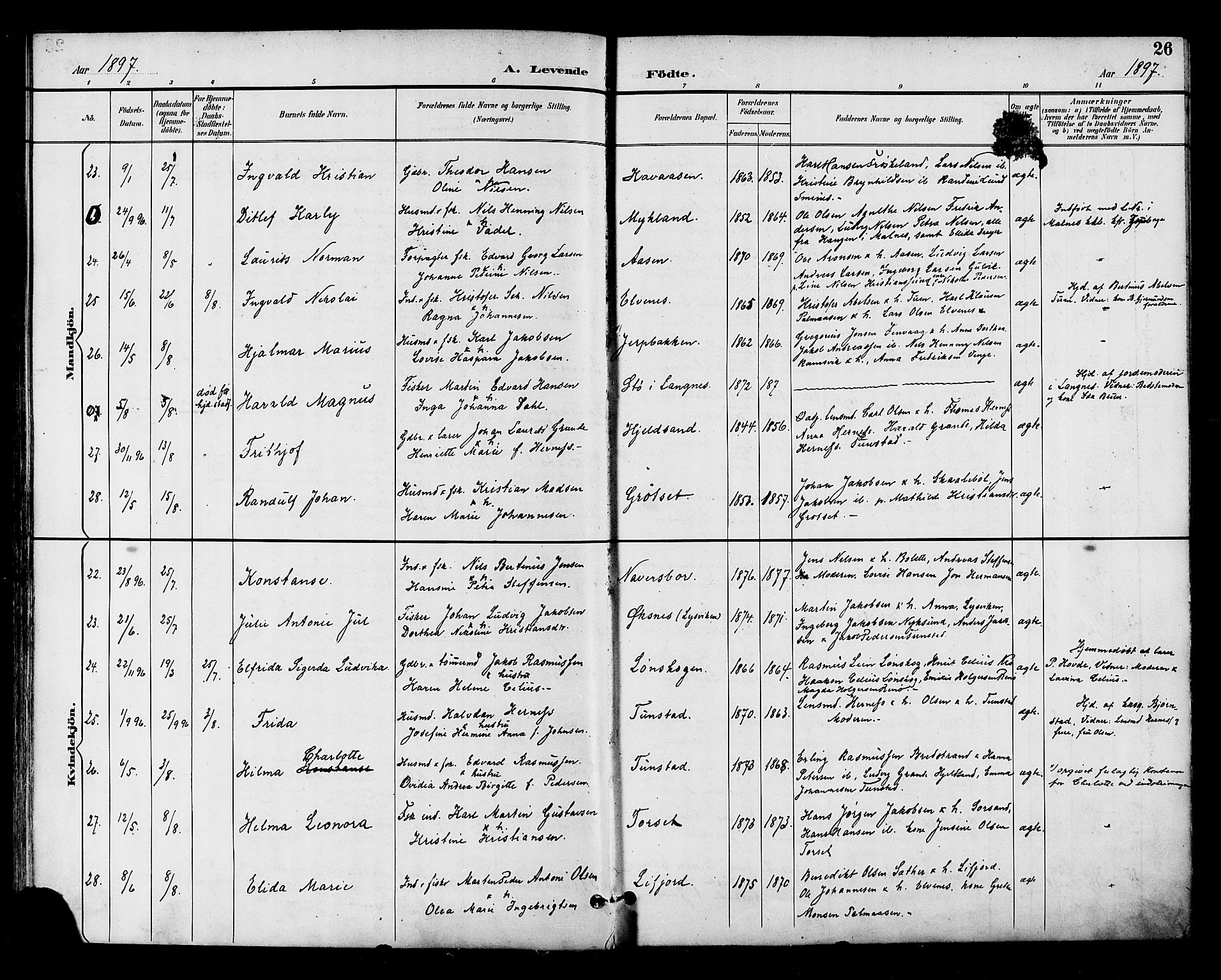 Ministerialprotokoller, klokkerbøker og fødselsregistre - Nordland, SAT/A-1459/893/L1338: Parish register (official) no. 893A10, 1894-1903, p. 26