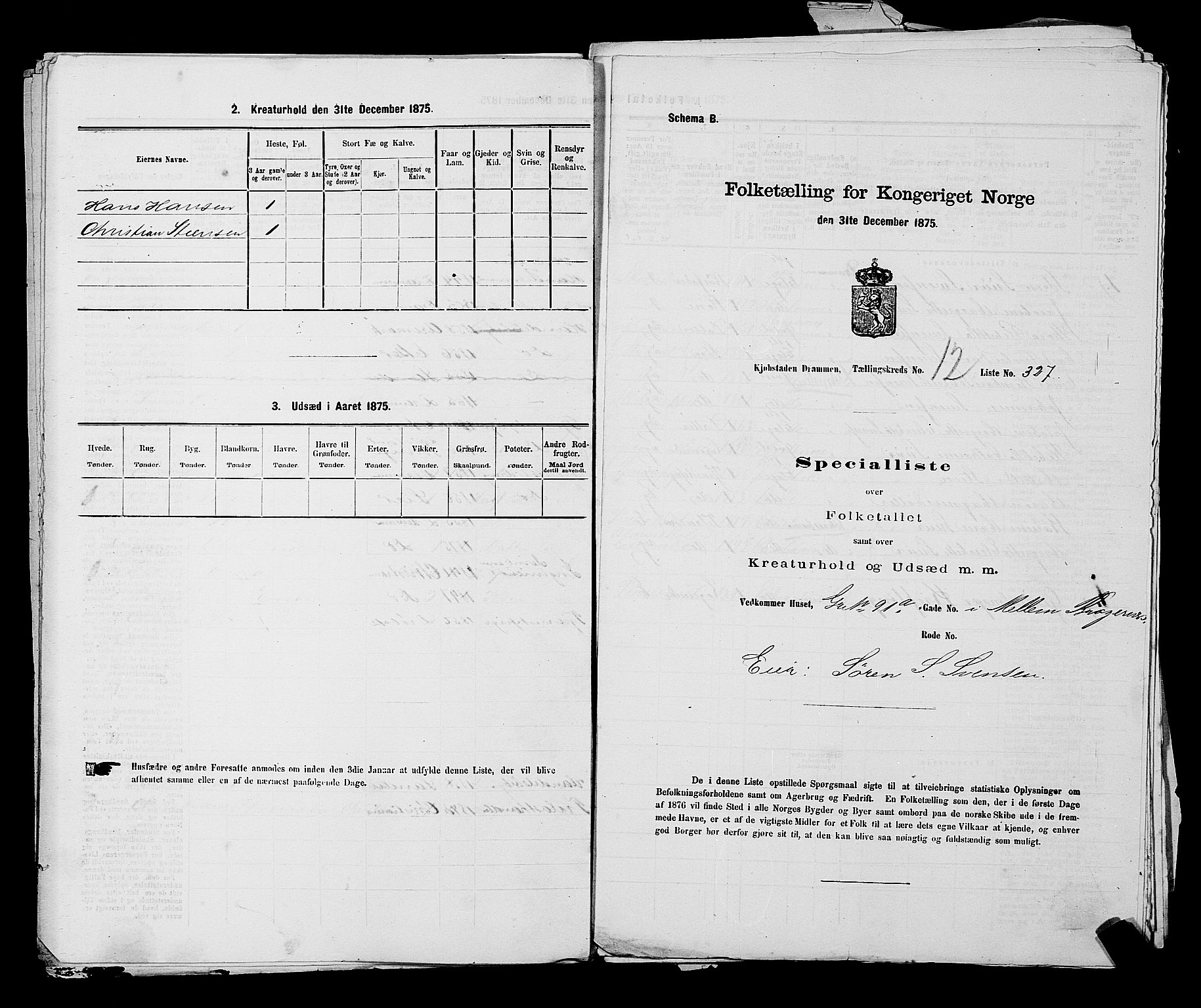 SAKO, 1875 census for 0602 Drammen, 1875, p. 1319